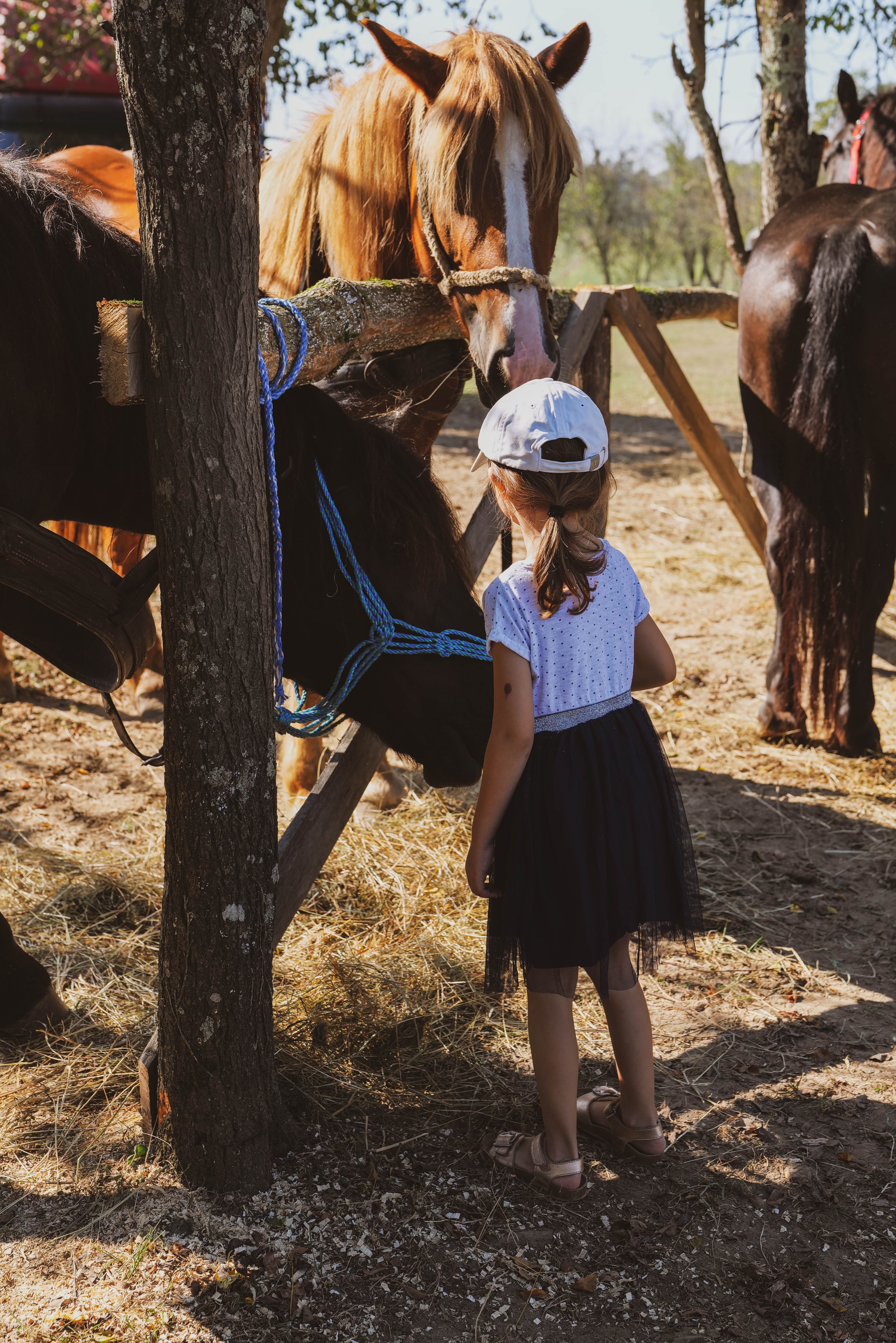 Reiten für Kinder