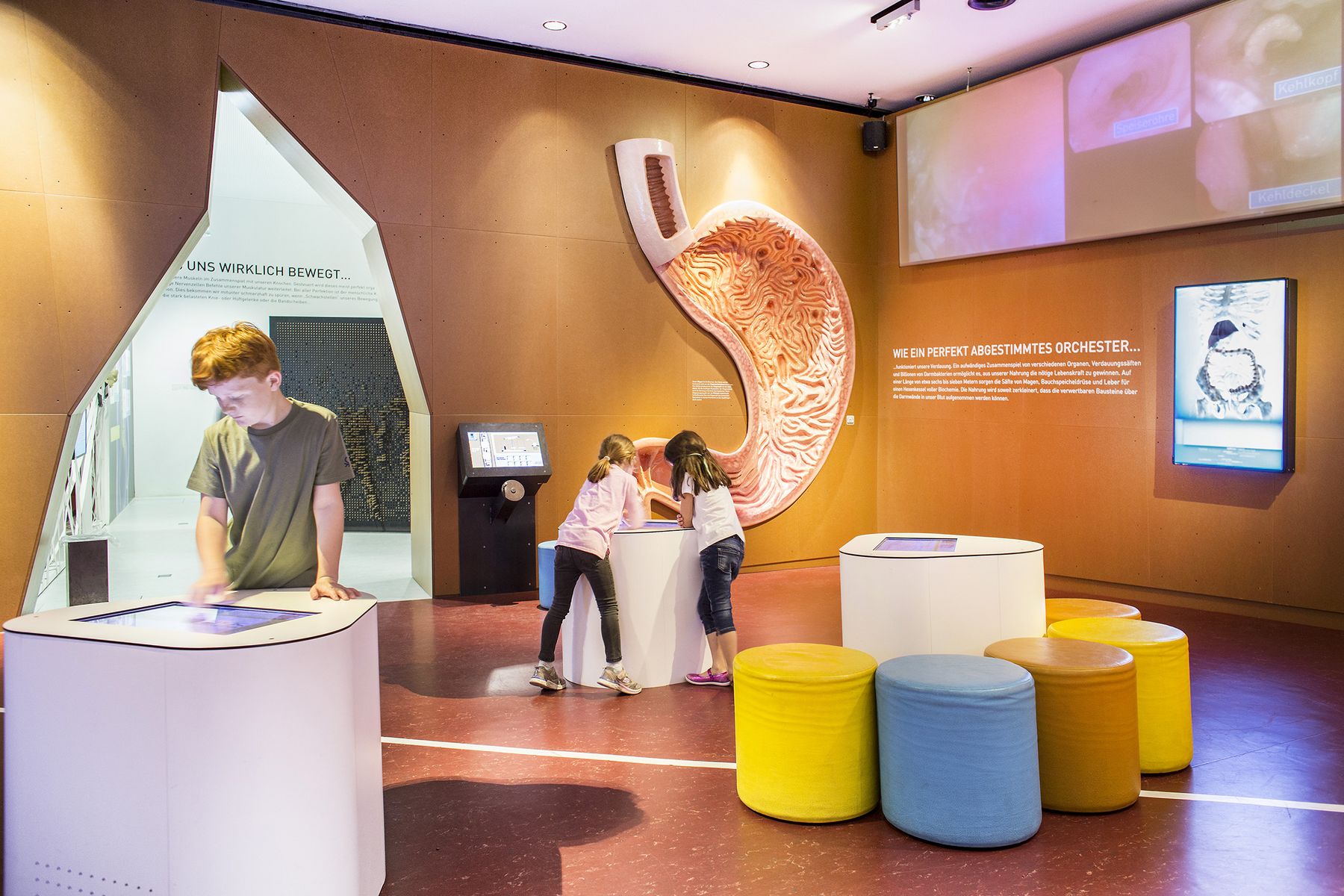 Inatura Dornbirn - Vorarlberg's natural history museum