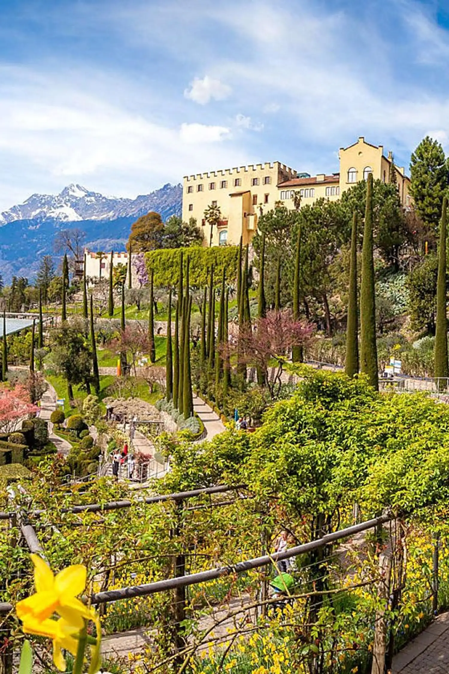 The Gardens of Trauttmansdorff Castle - a journey through the world of plants