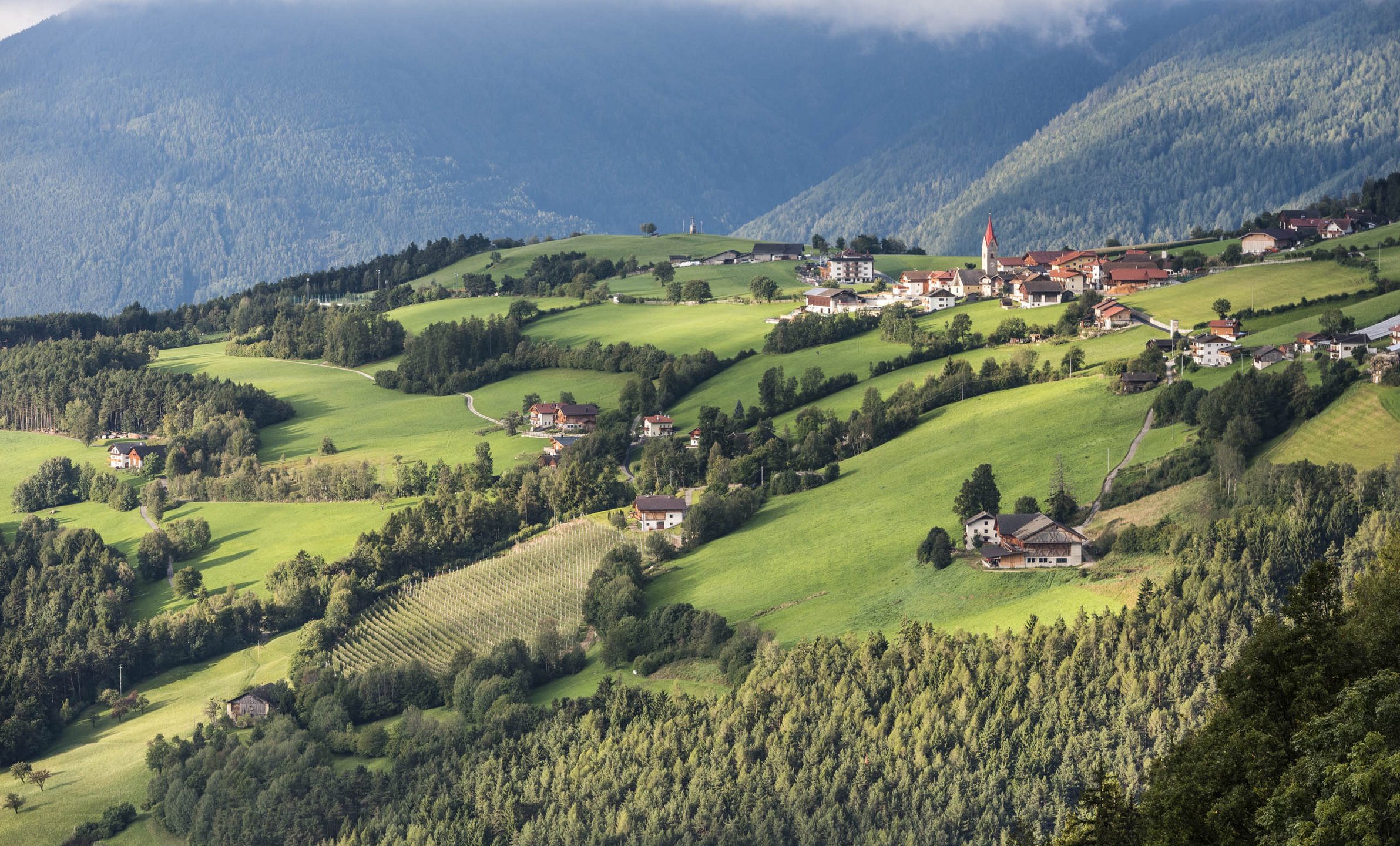 Hike Rio di Pusteria - Spinga (OD120) 