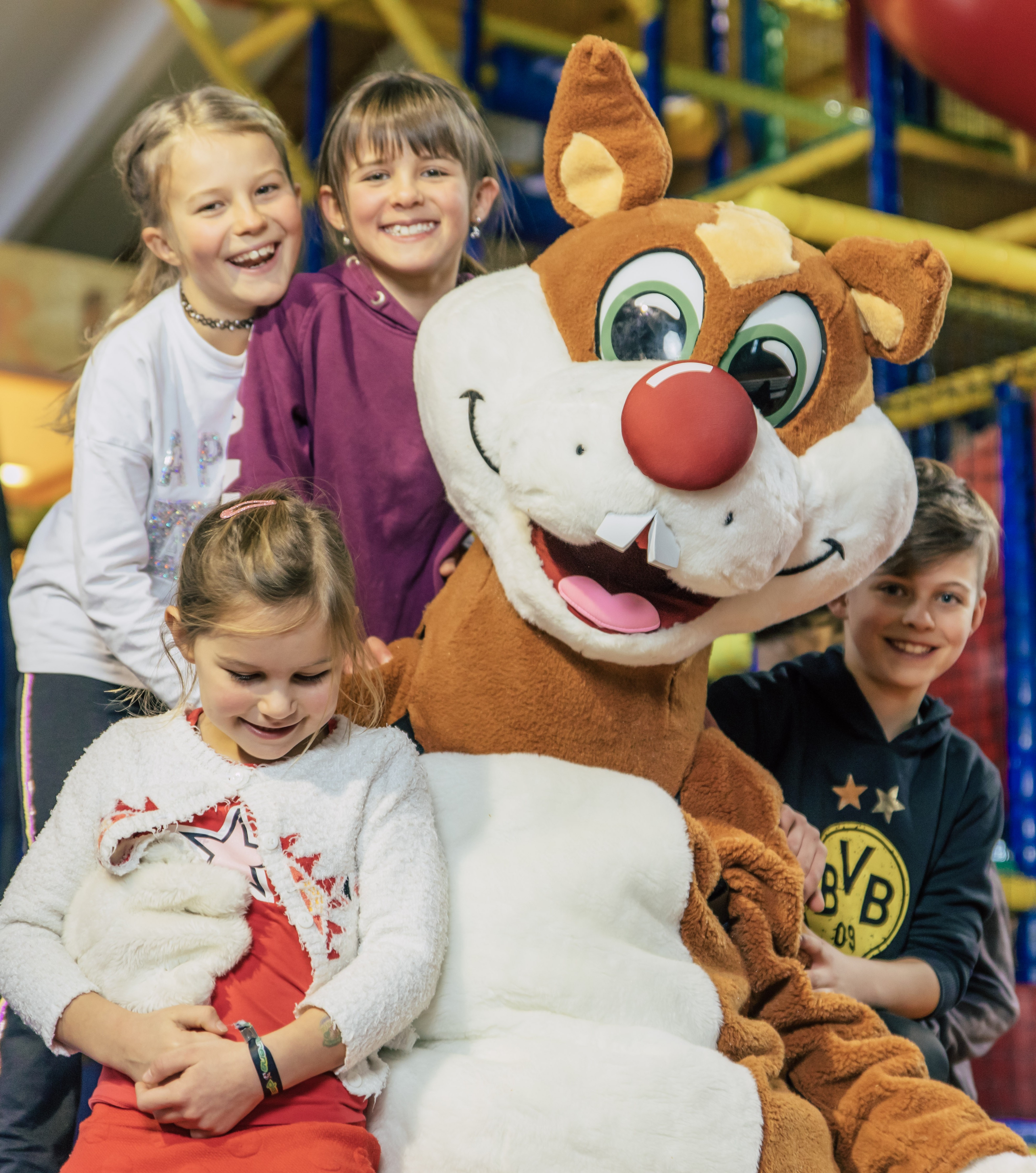 Contrôle du programme PLAYARENA