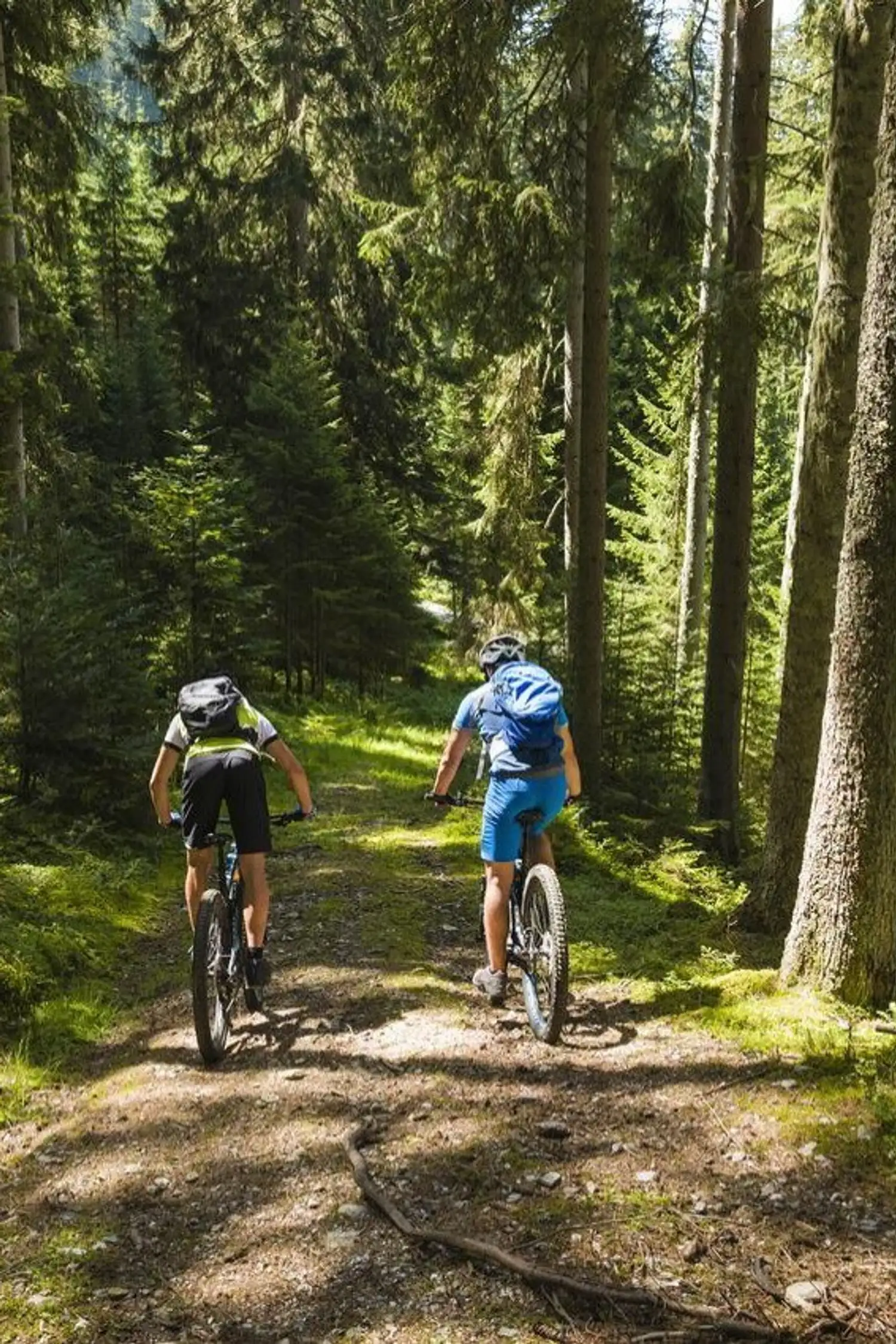 E-Bike Tour Pronebenalm über Althaussattel mit Einkehr