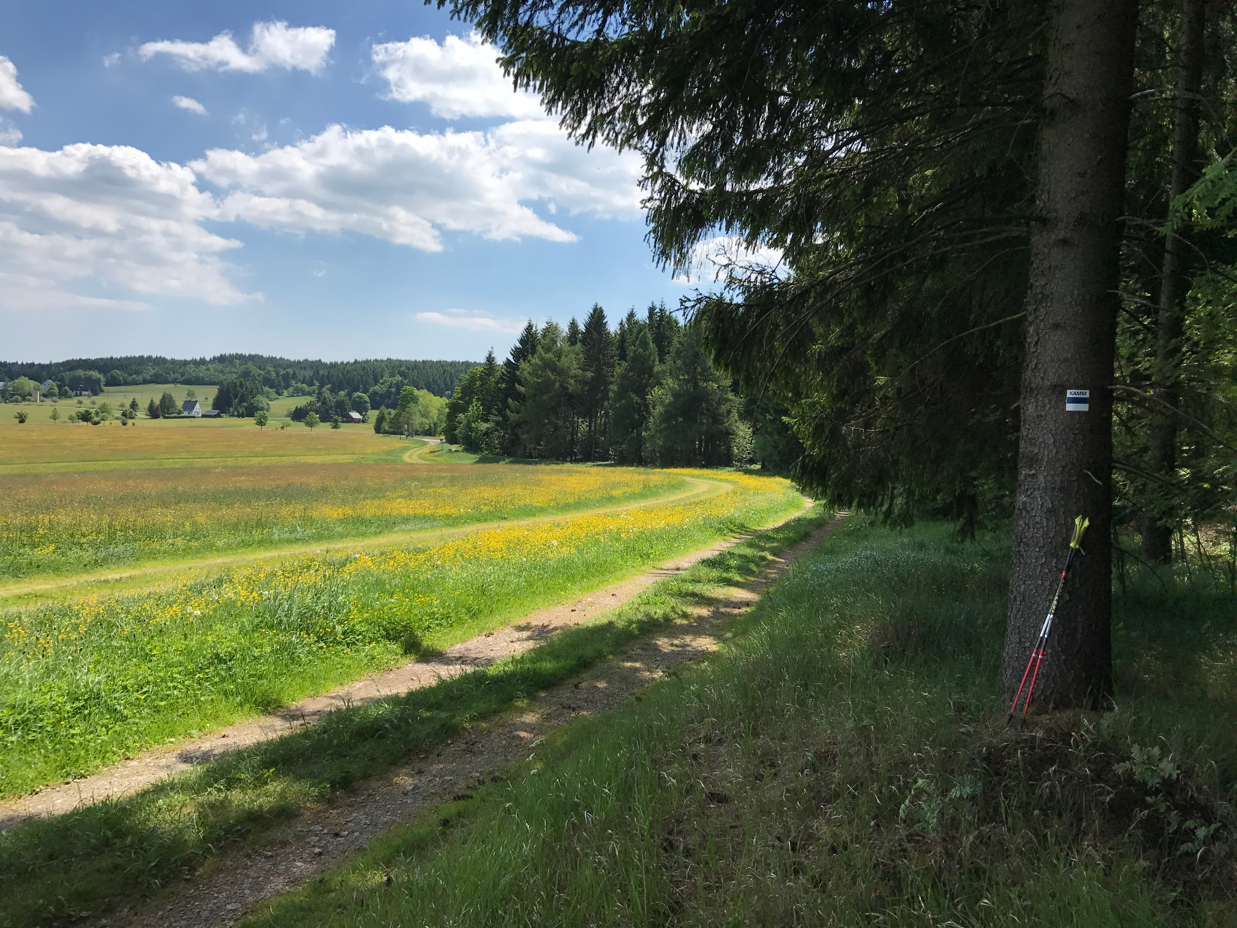  EuroRando 2026: Europe's Largest Hiking Festival Around Fichtelberg & Keilberg