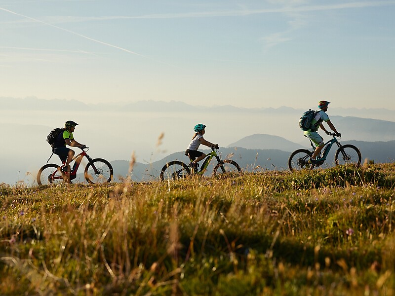 e-MTB: Feldthurner Almentour