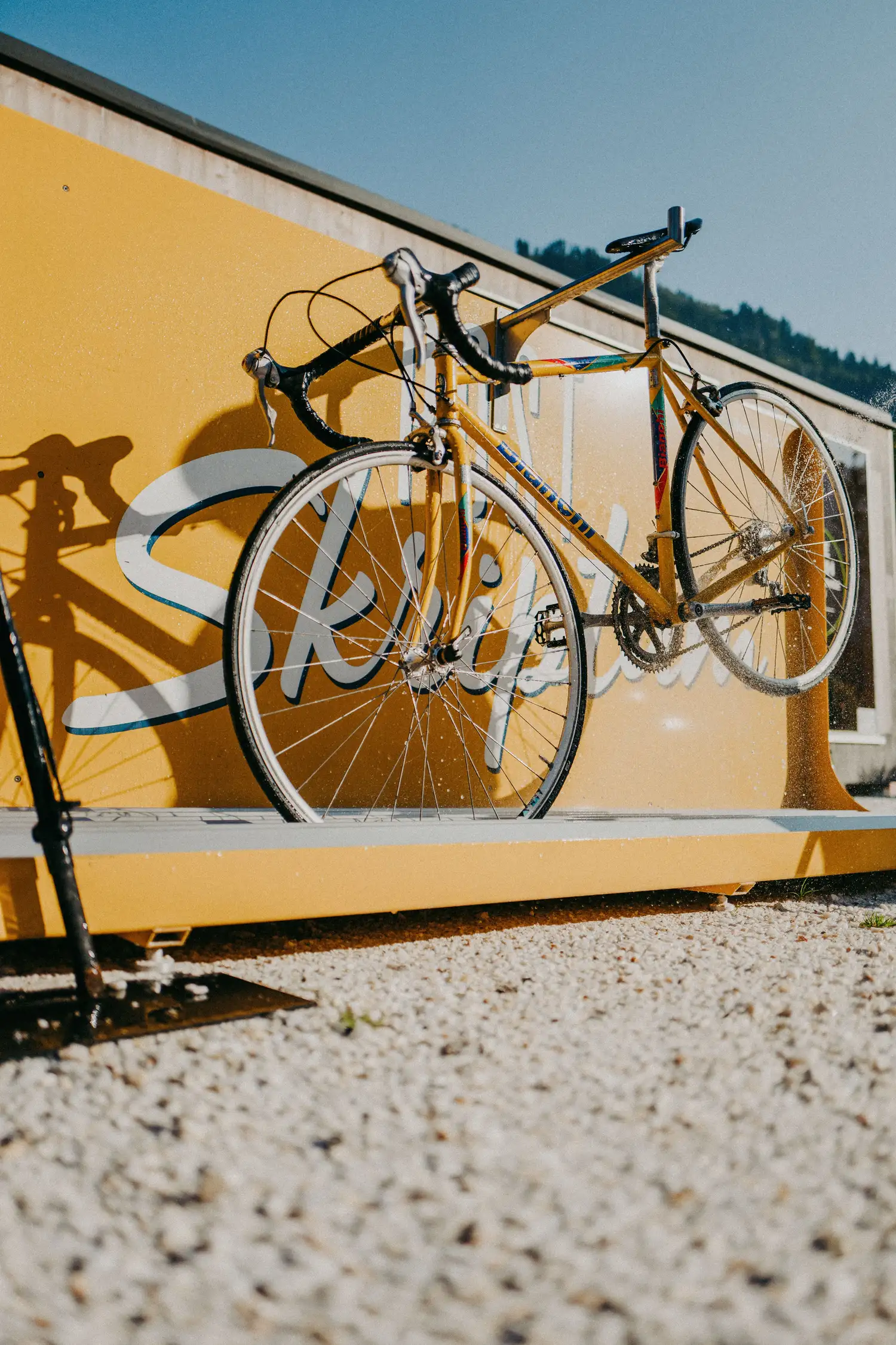 Bike rental