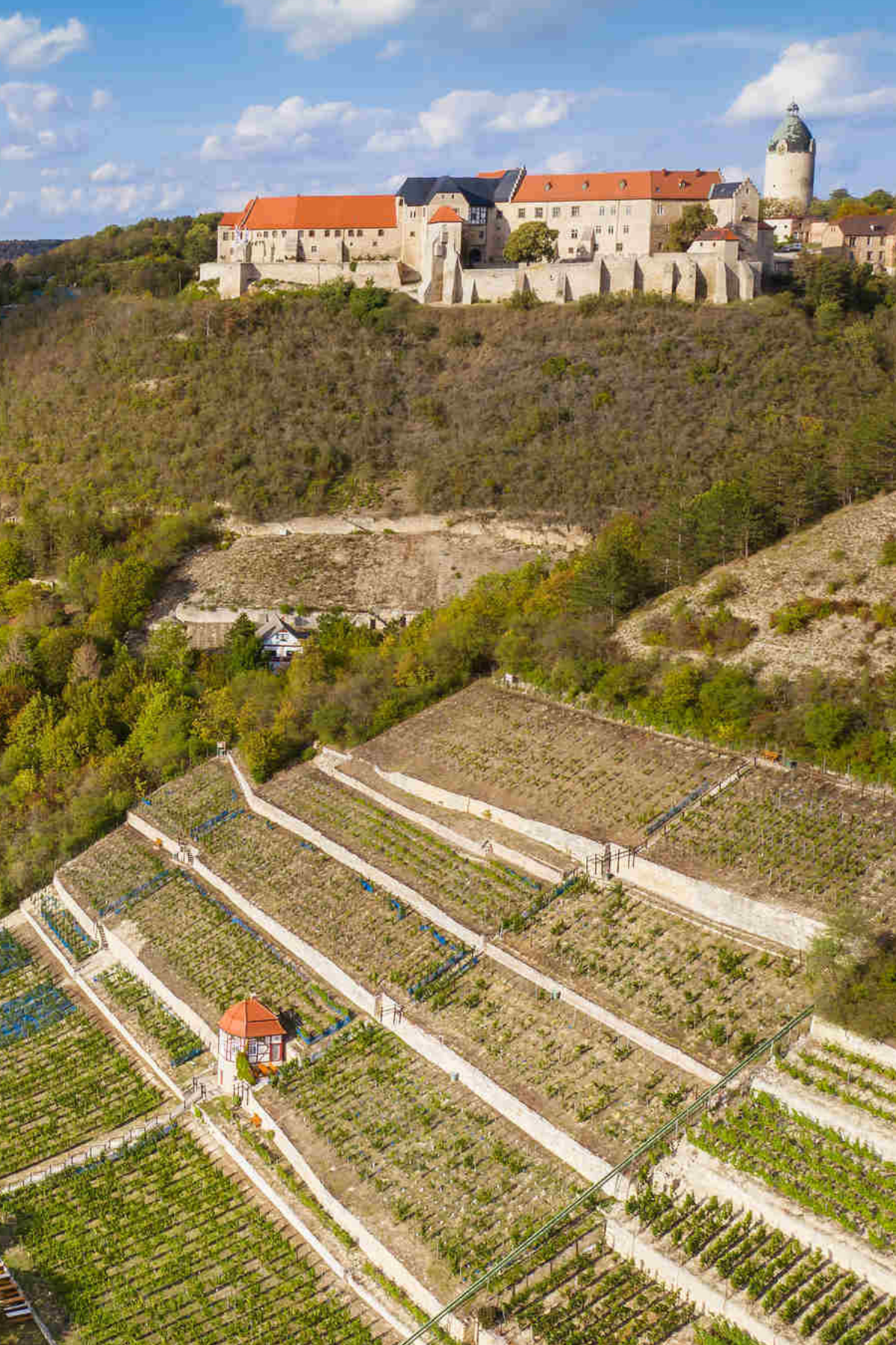 Neuenburg Castle: History High Above Freyburg