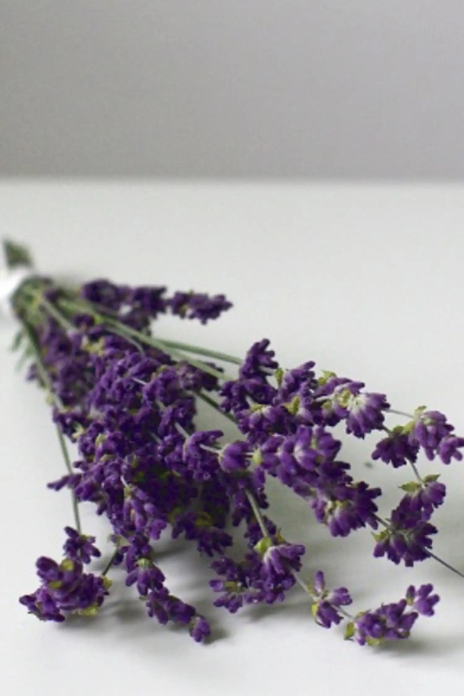 Private Spa: Lavendel-Bad