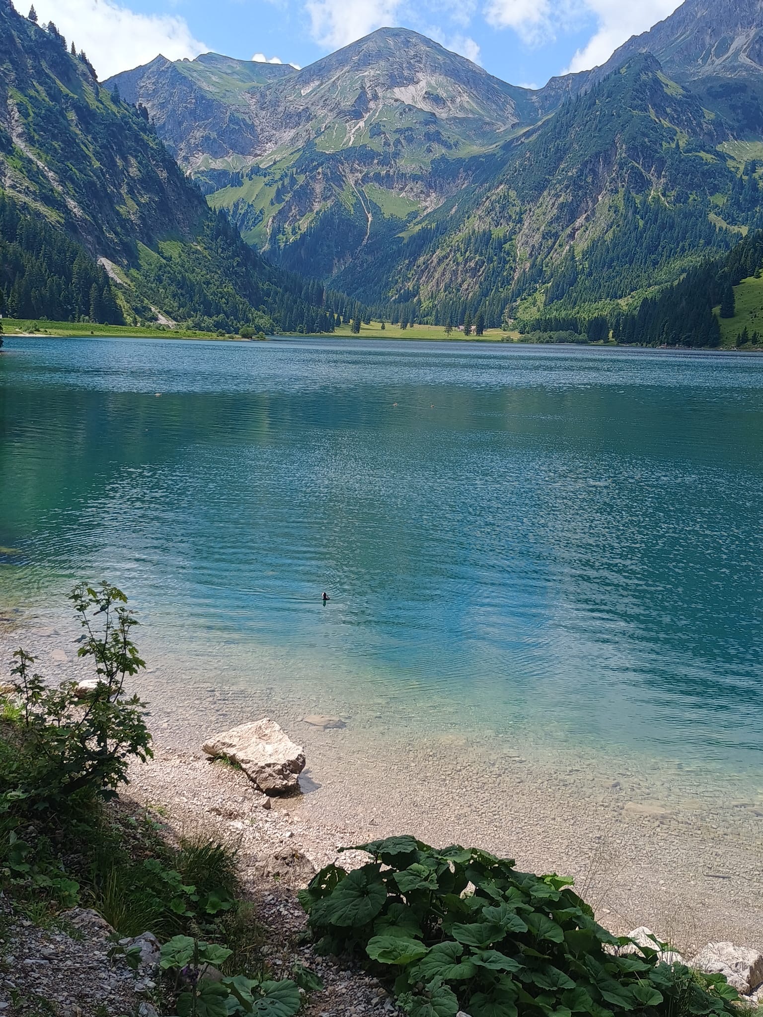  Picknick am Naturjuwel Vilsalpsee 