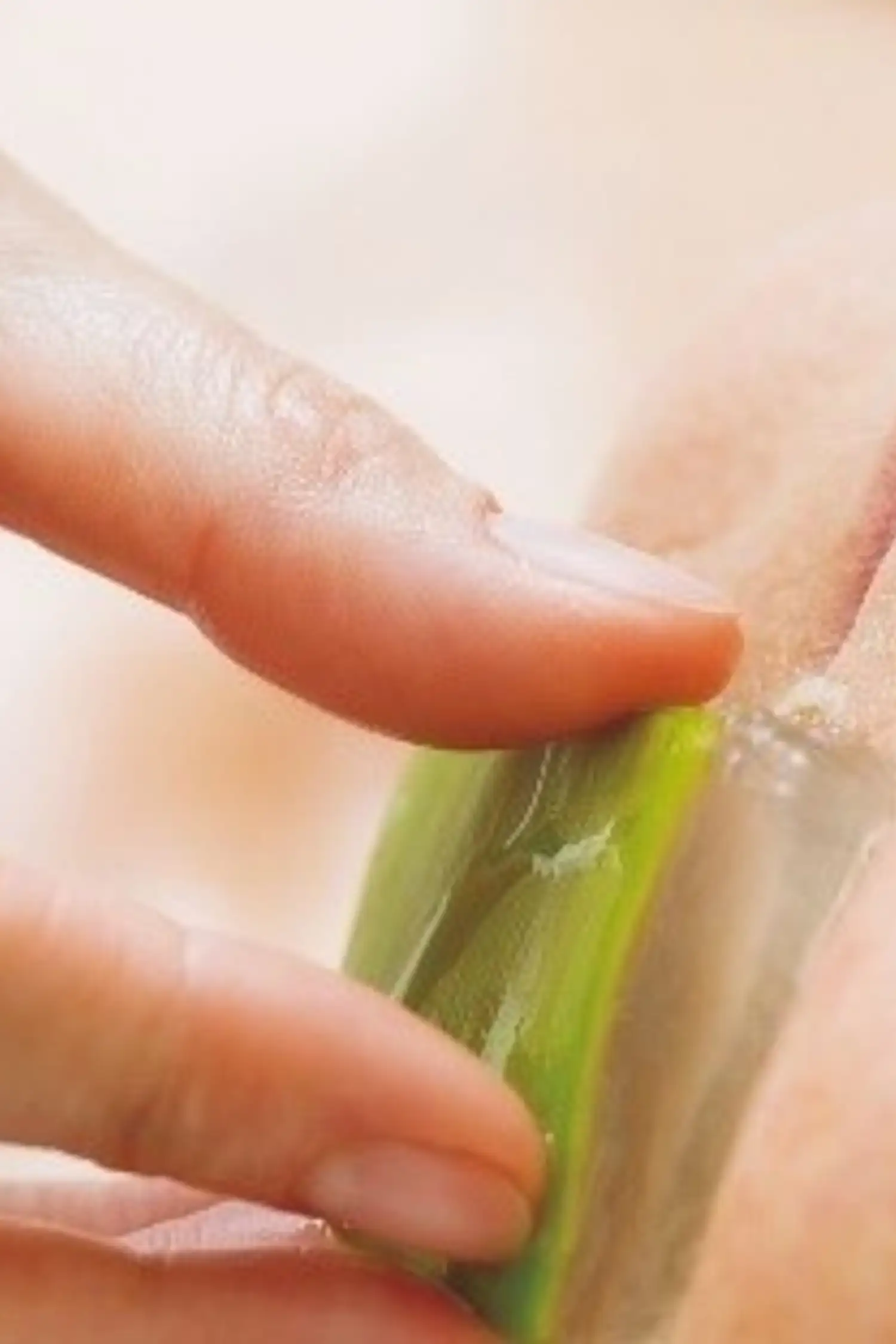 Essential Care Face- Pharmos Natur