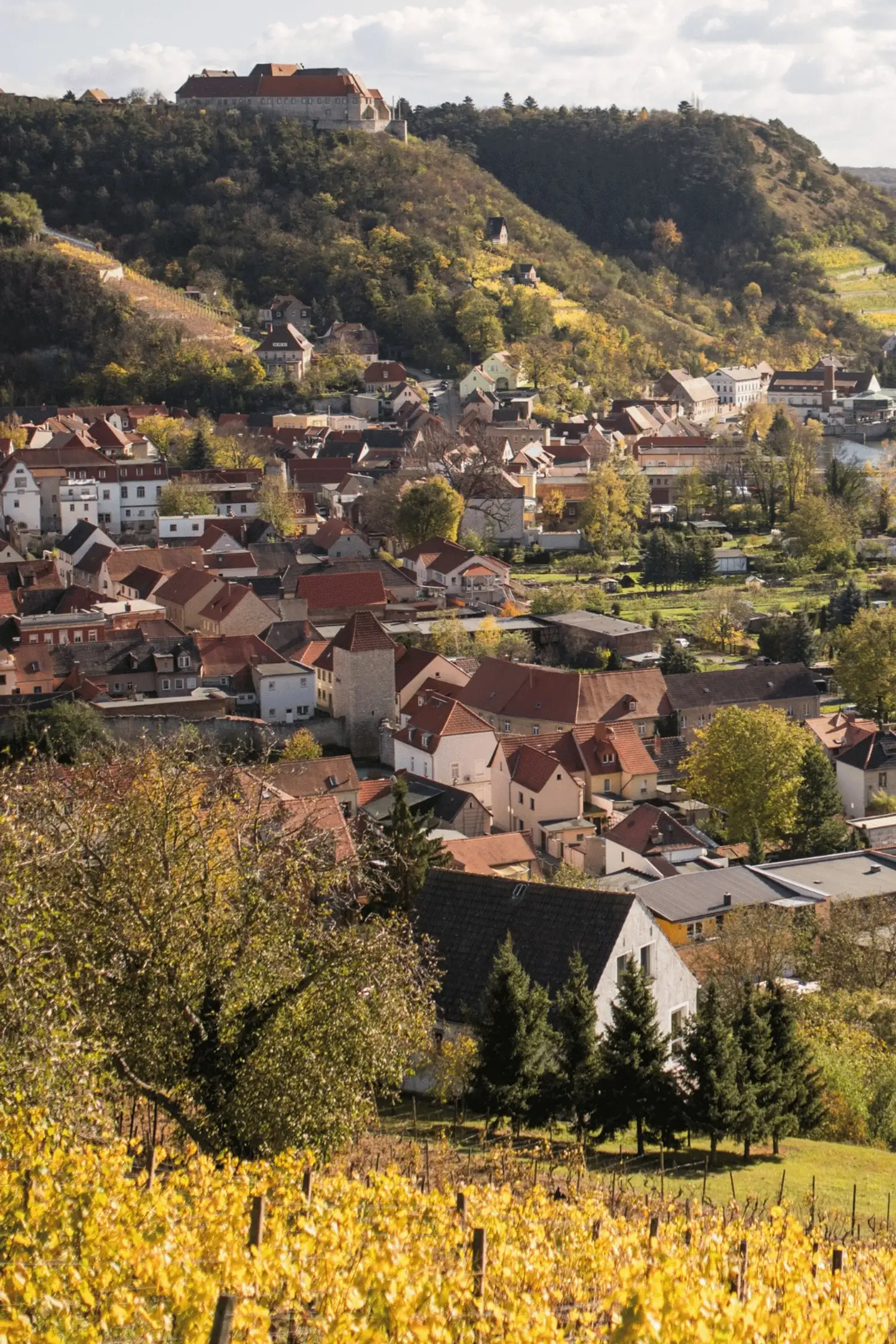 Tourist-Info Freyburg