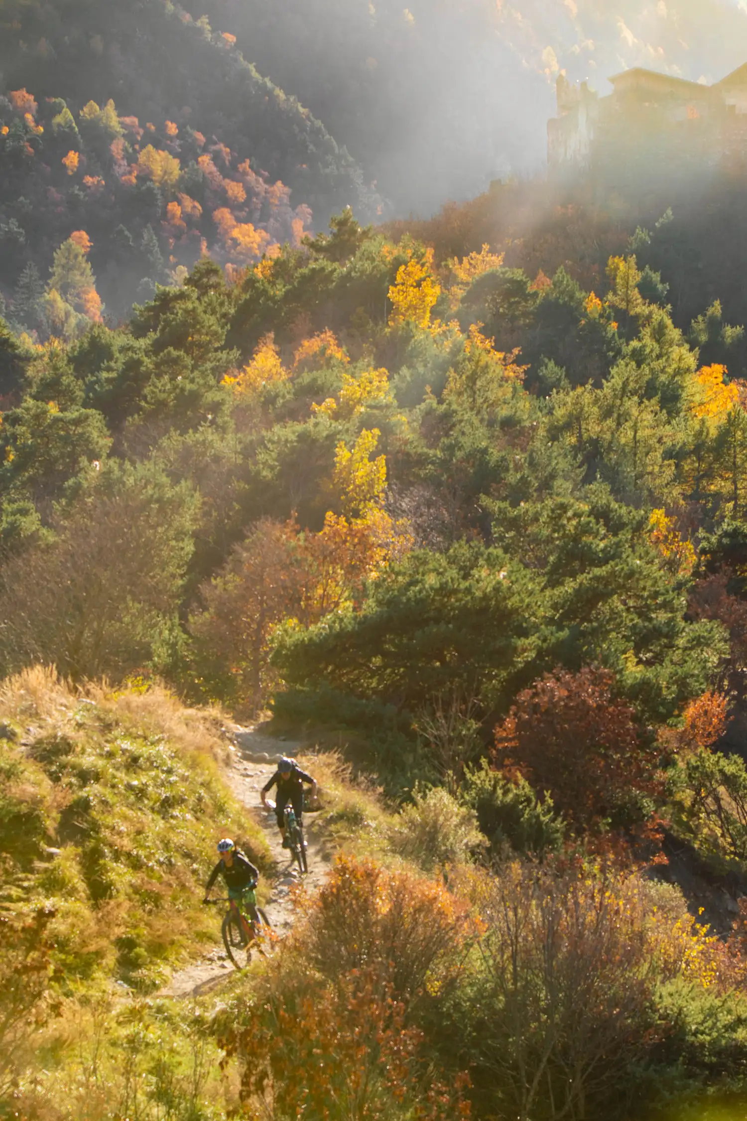 Mountainbike Fahrtechniktraining für Erfahrene