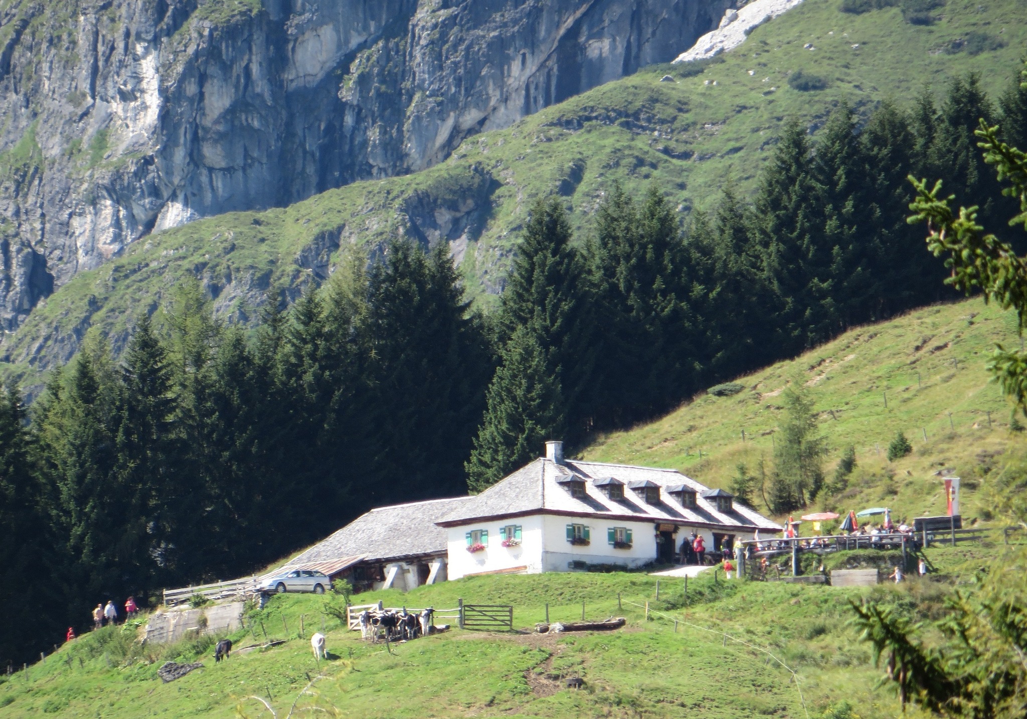 Hike to the Windraucheggalm (1460m) - (COPY)