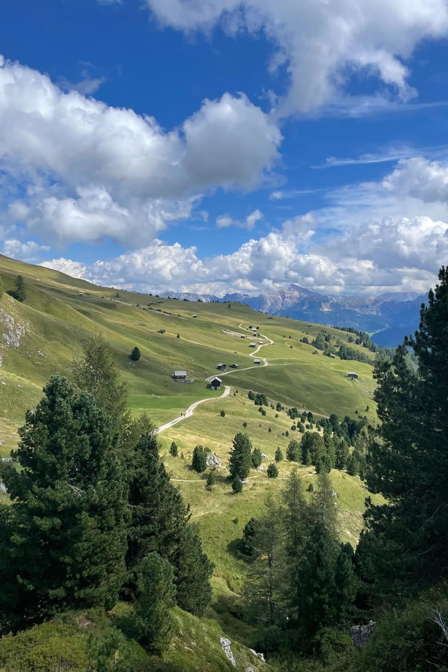 Wanderung | Rund um Peitlerkofel*