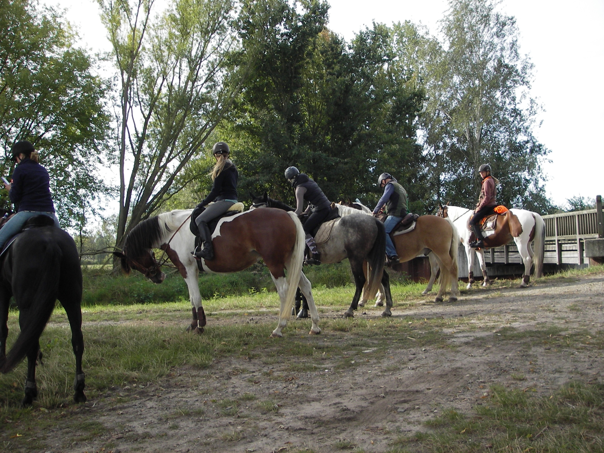 Hufspuren im Herbst