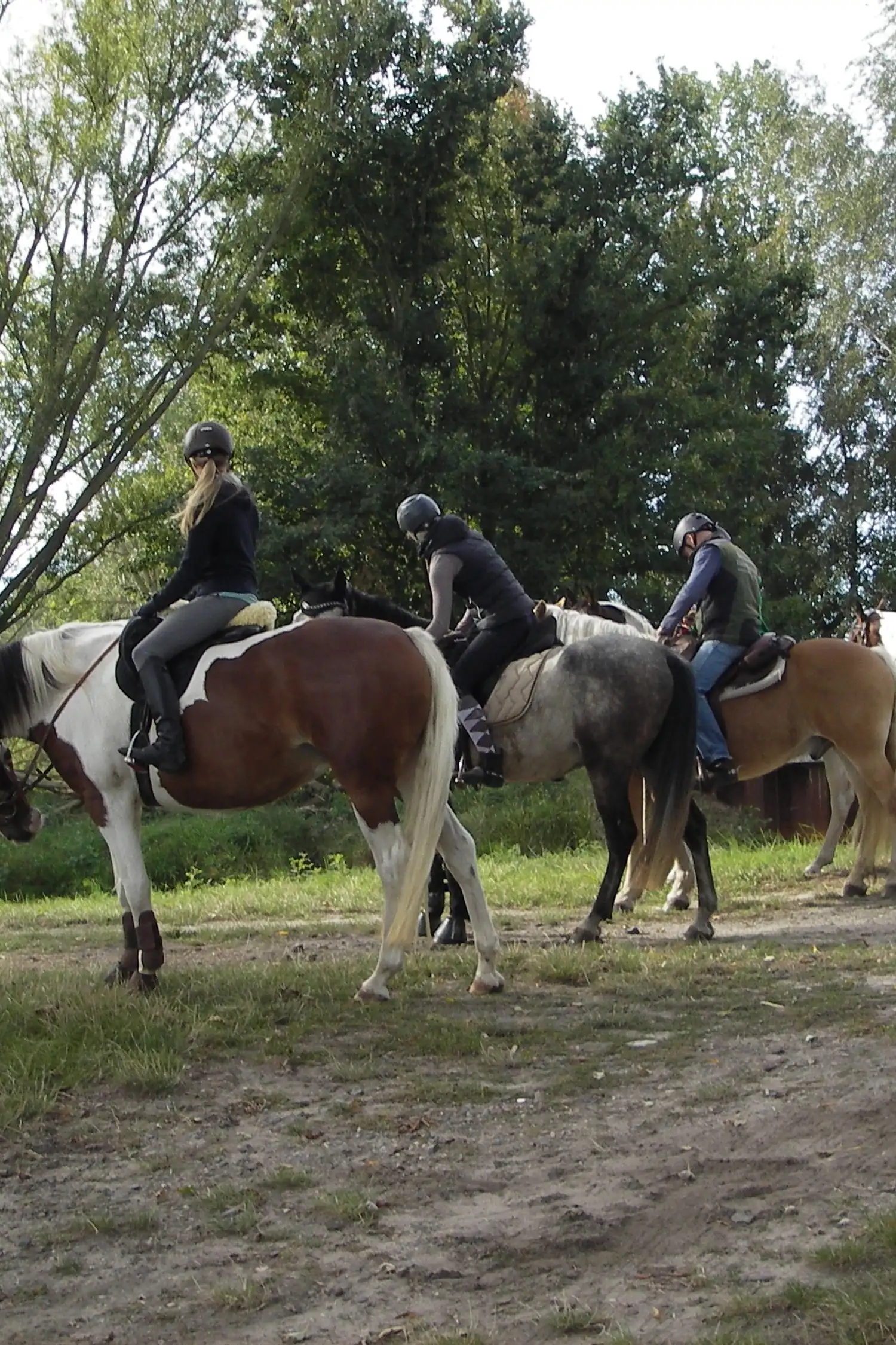 Hufspuren im Herbst