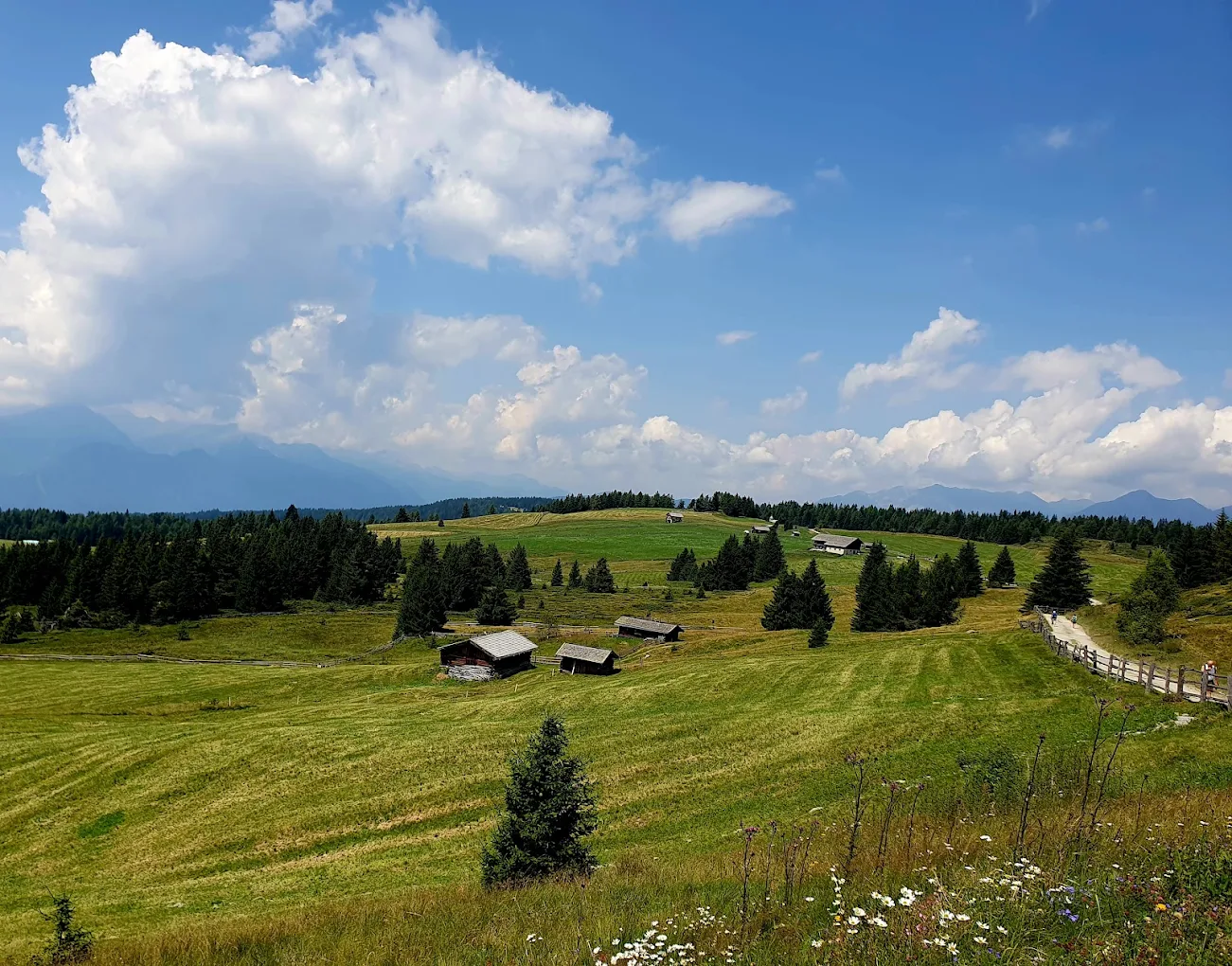 Rodenecker-Lüsner Alm – Naturgenuss für die ganze Familie
