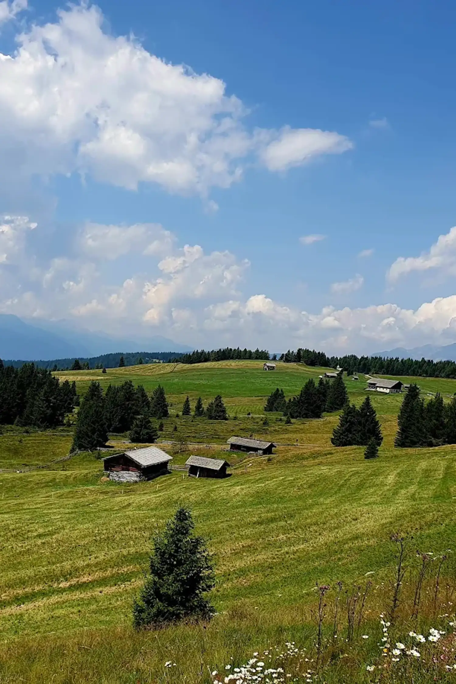 Rodenecker-Lüsner Alm – Enjoying Nature with the Whole Family