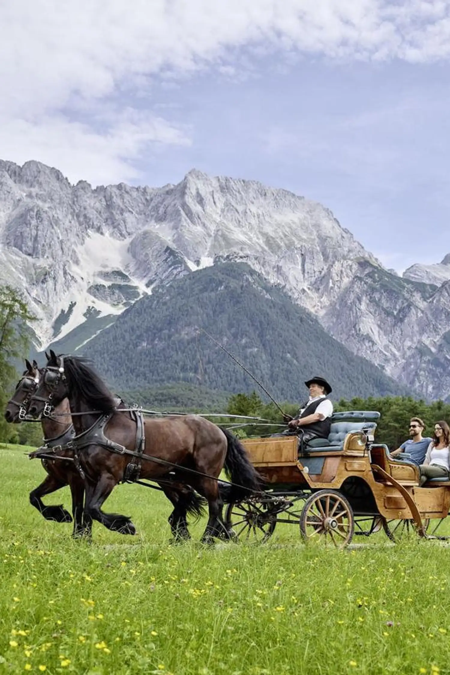 Kutschenfahrt durch die Mooswiesen