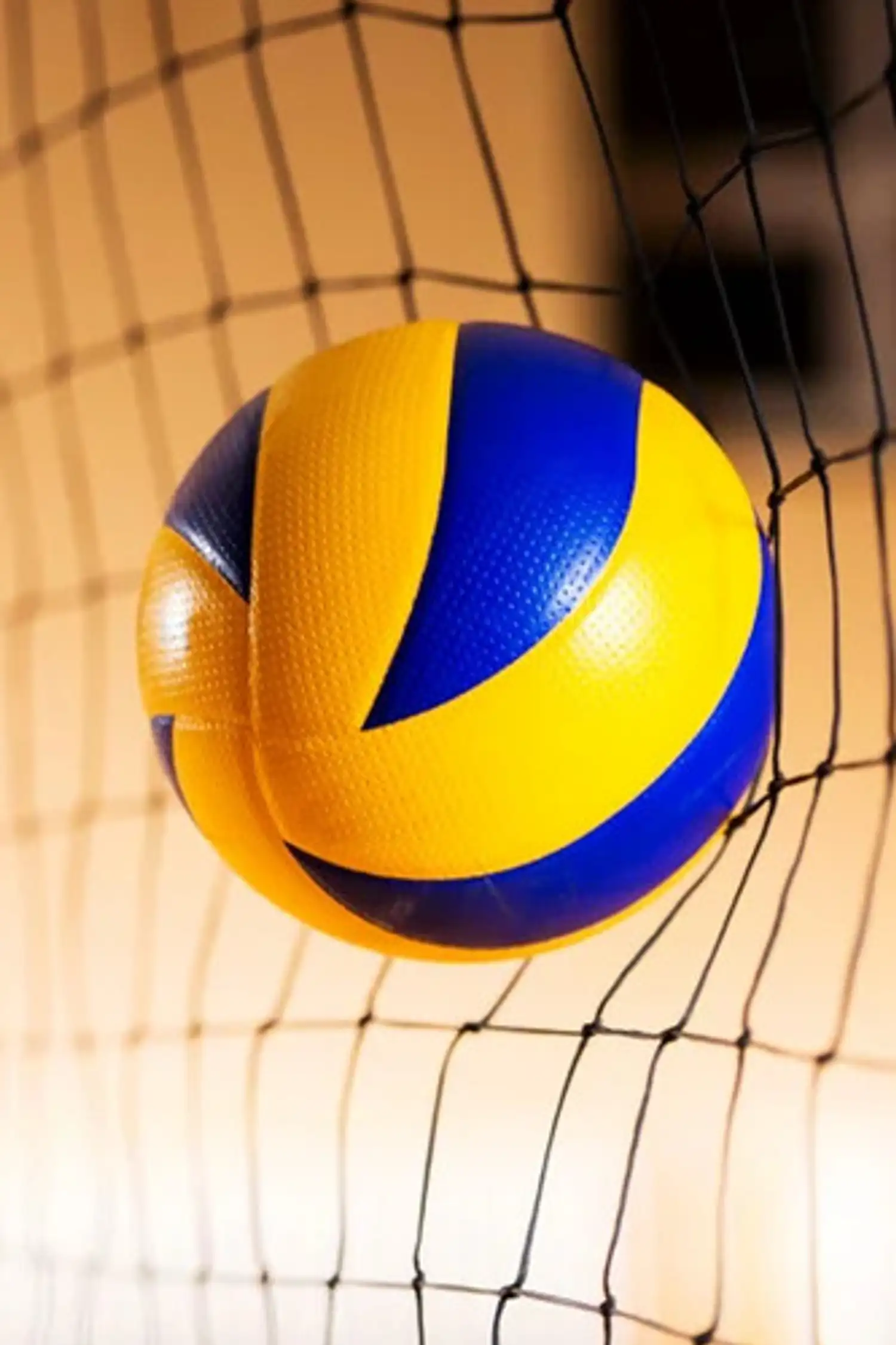 Volleyball Kids-Kurs mit Martina Winter in der Ballsporthalle