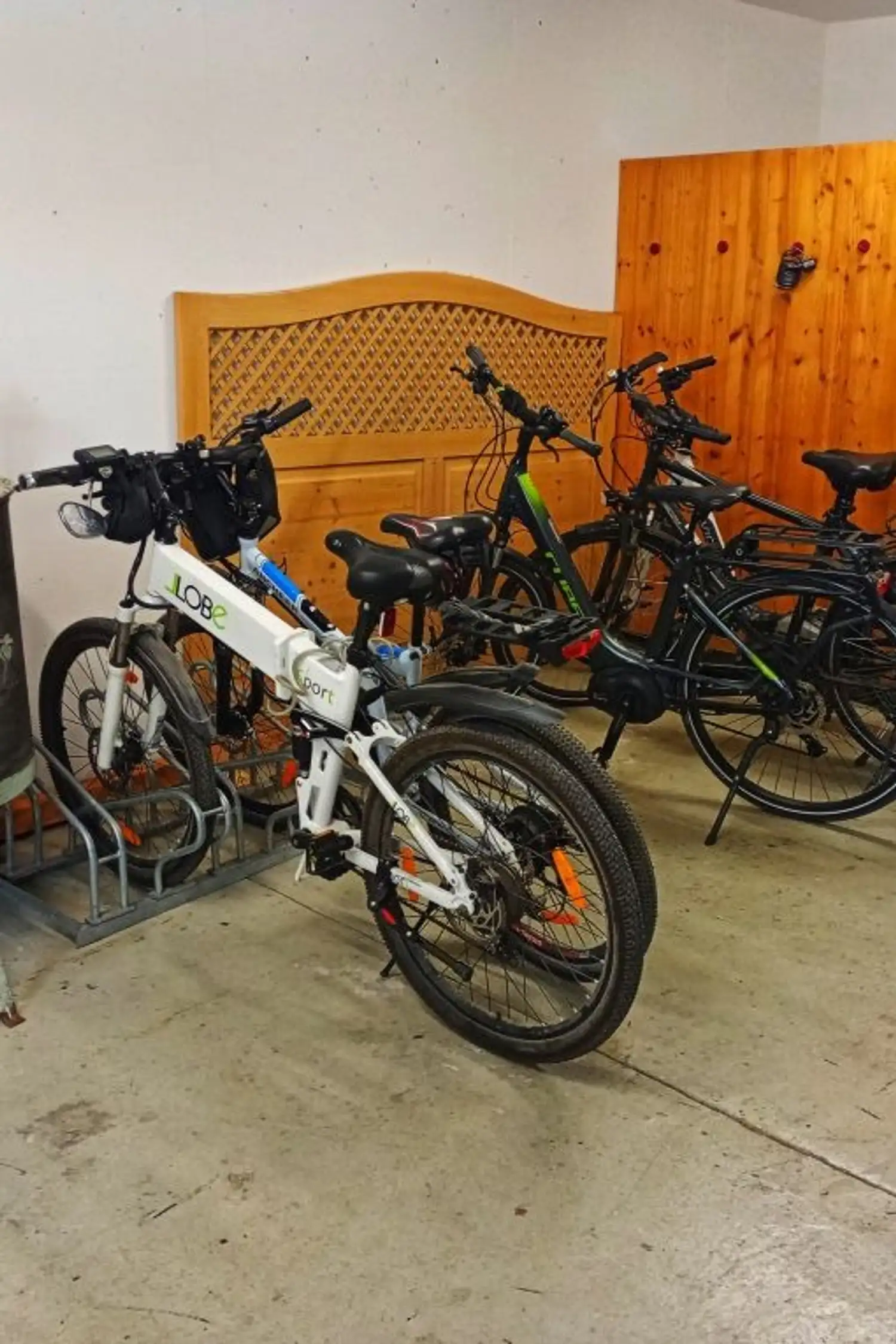E-MTB mieten