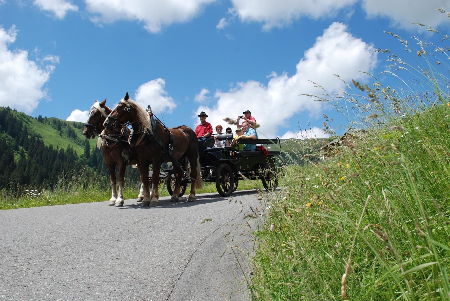 Horse-drawn carriage ride