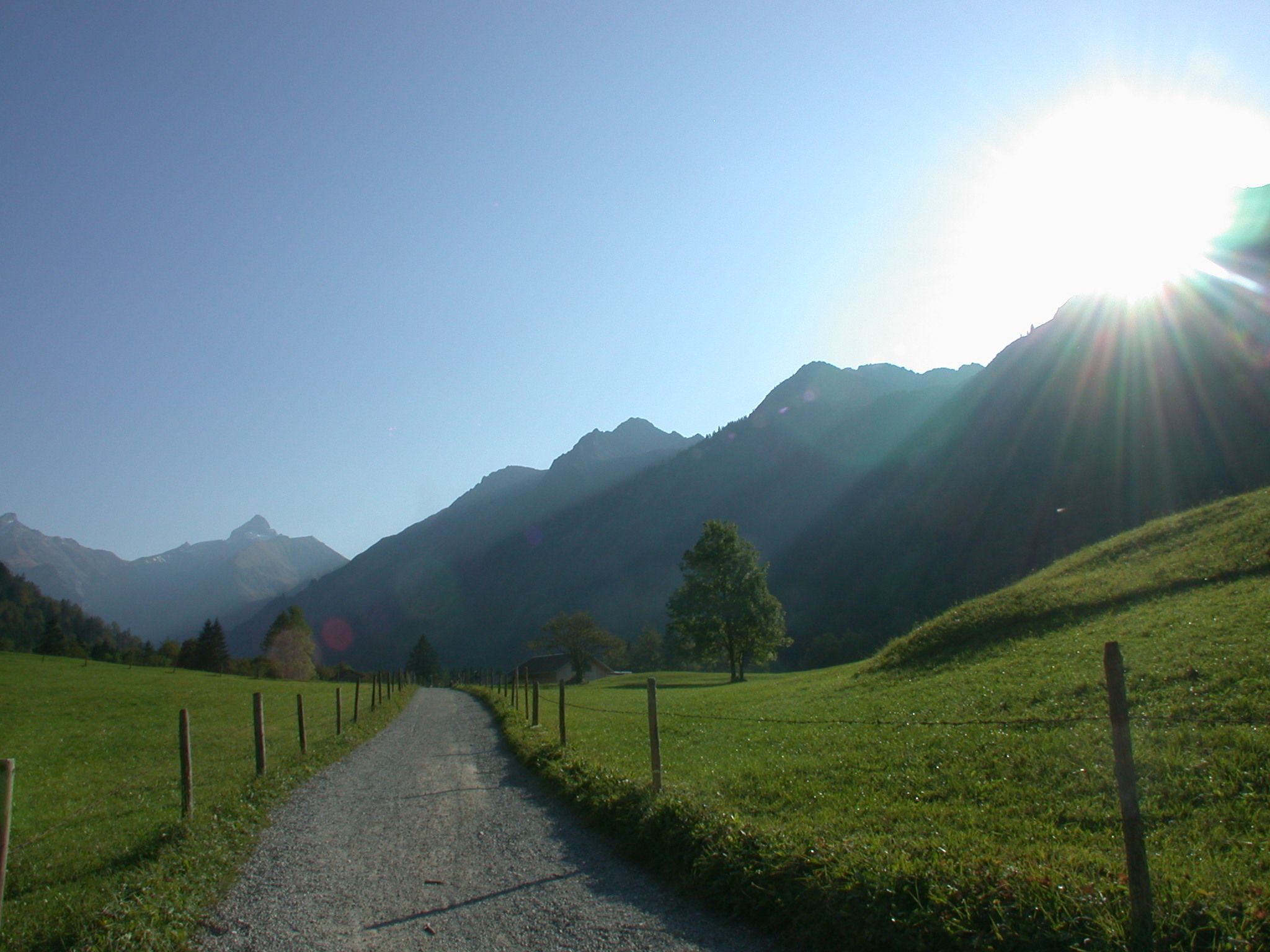 2-Alpen-Wanderung mit Max