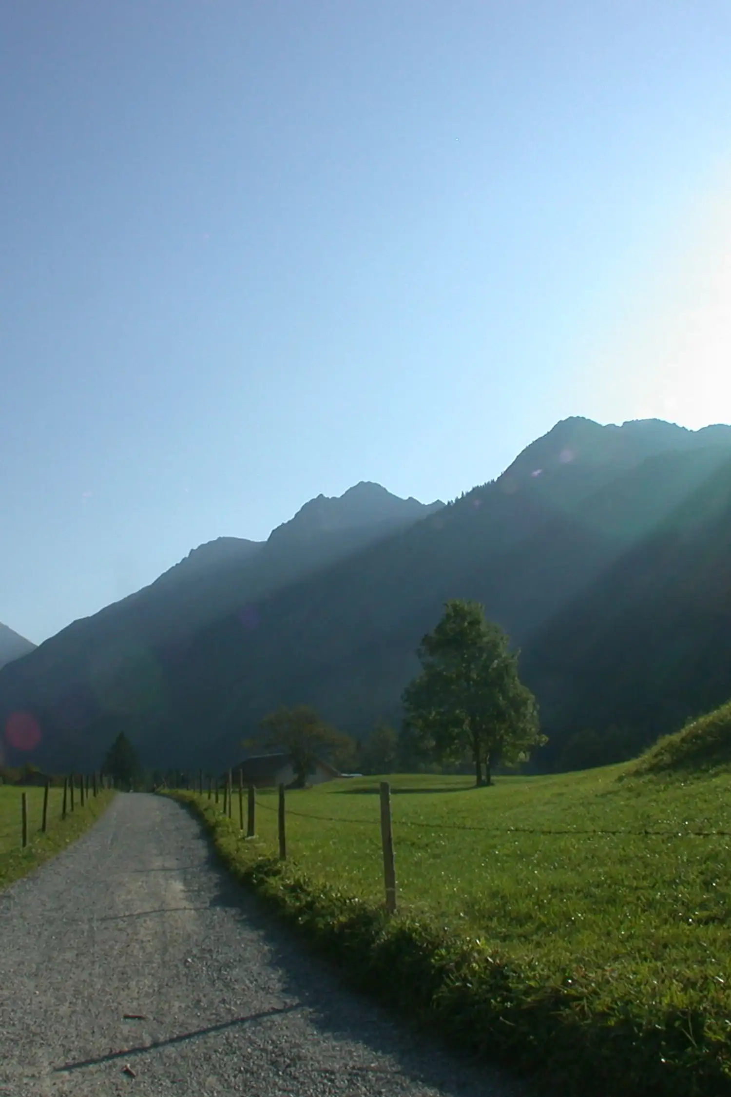 Wanderung mit schönen Aussichten mit Max
