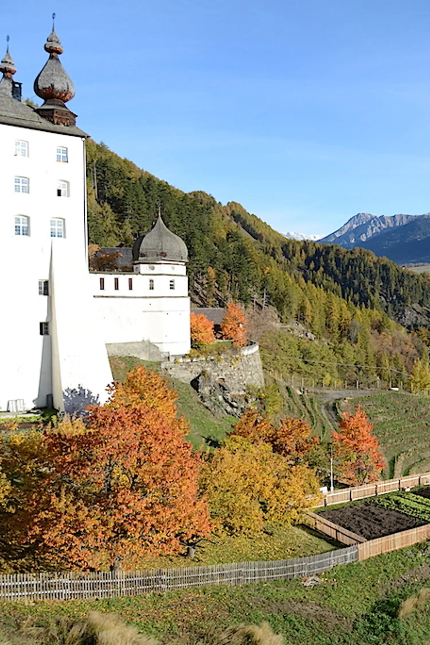 Escursione guidata con visita al vigneto più alto d’Europa