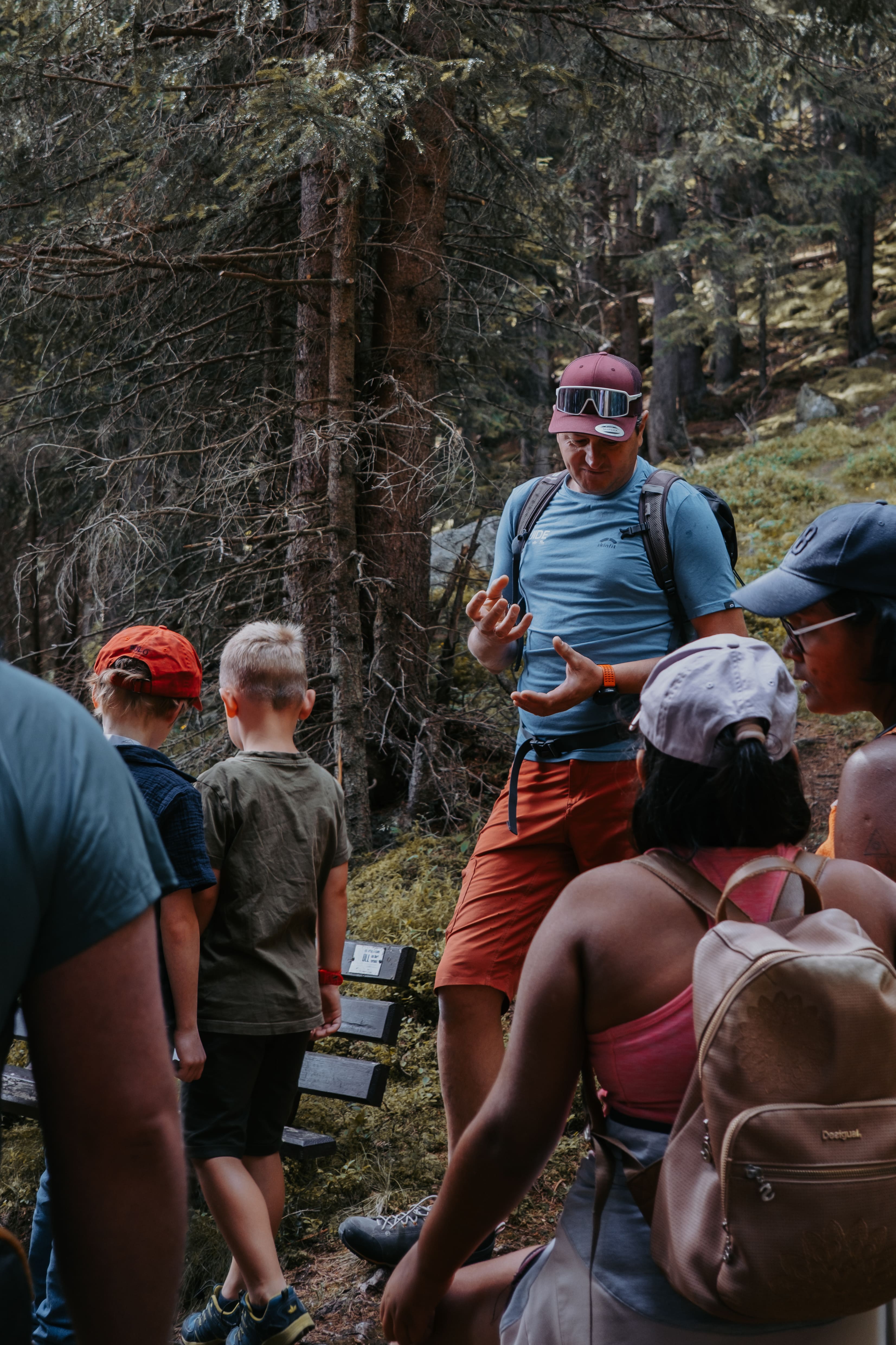 Familienwanderung: Waldzauber