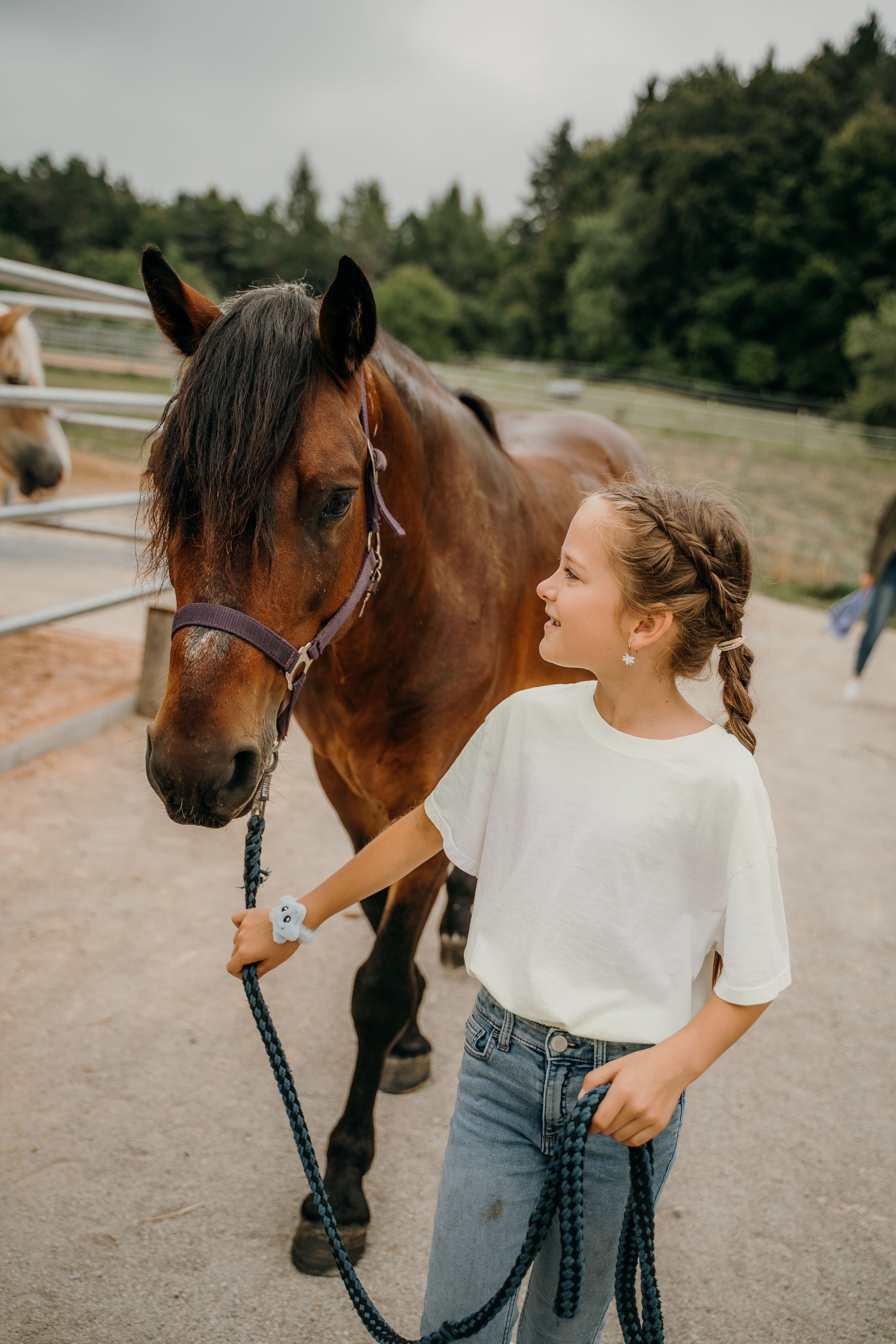 Horse Care