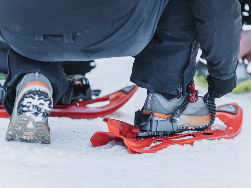 Donnerstag: Mit Schneeschuhen. Urige Almen im Gsieser Tal.
