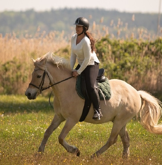 Riding lessons