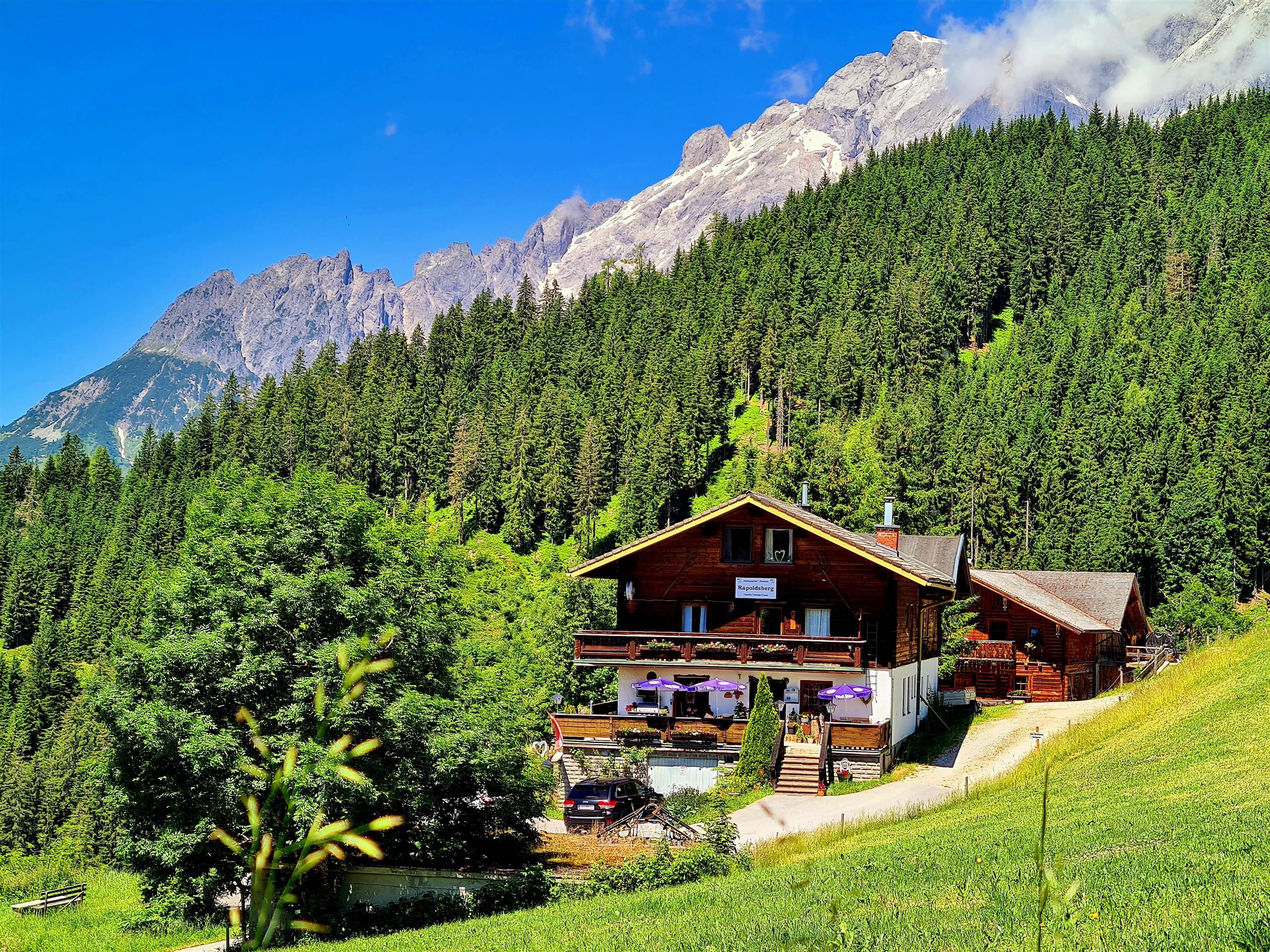 Mittlere bis anspruchsvolle Wanderung zum Rapoldsberg (1304m)