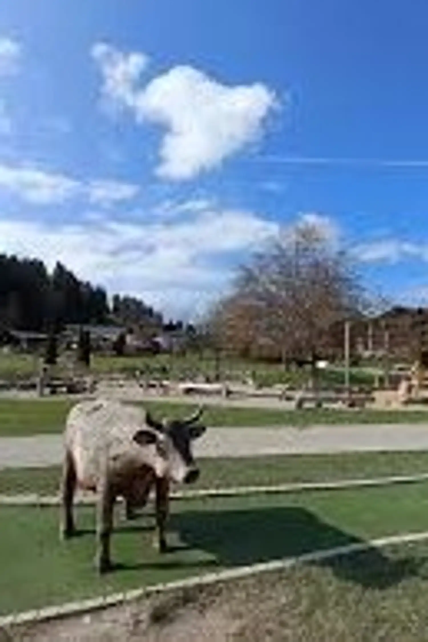 Minigolf course in Oberstaufen Park