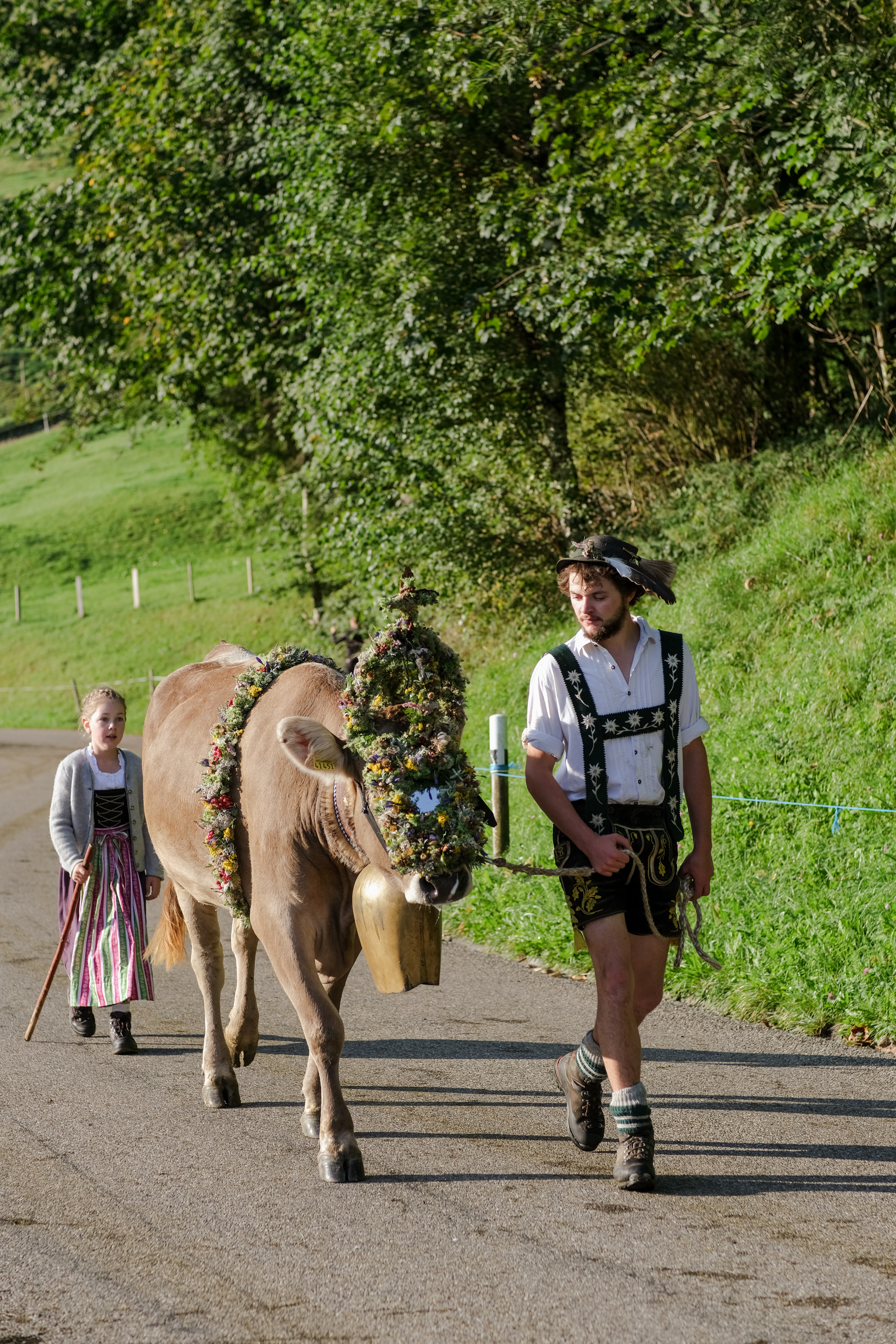 Experience Allgäu tradition: Viehscheid in Thalkirchdorf 2026