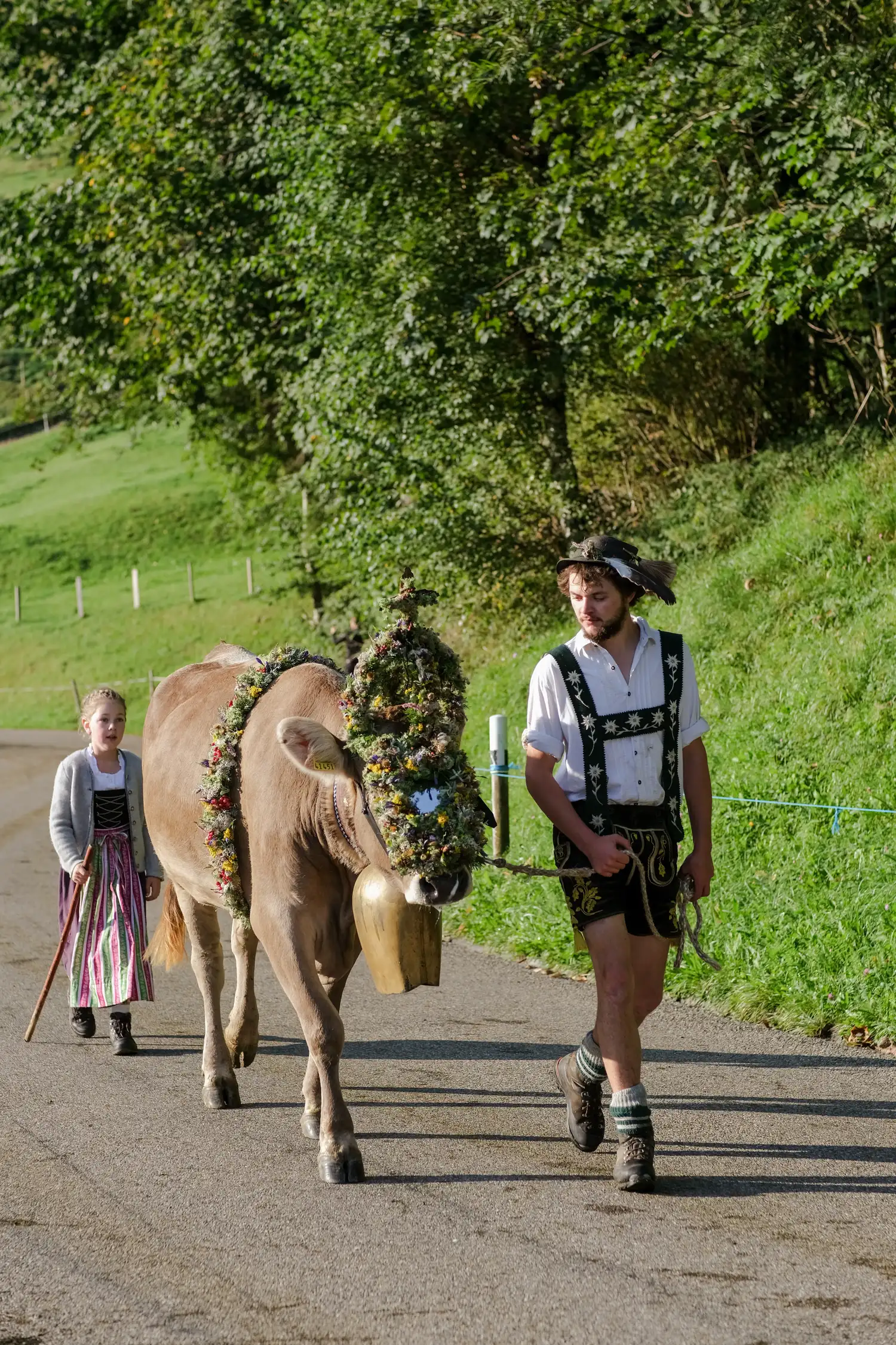 Experience Allgäu tradition: Viehscheid in Thalkirchdorf 2026