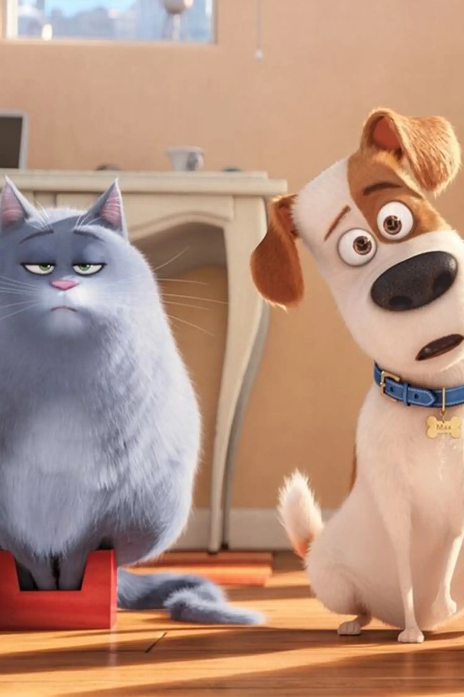 Pets - EN