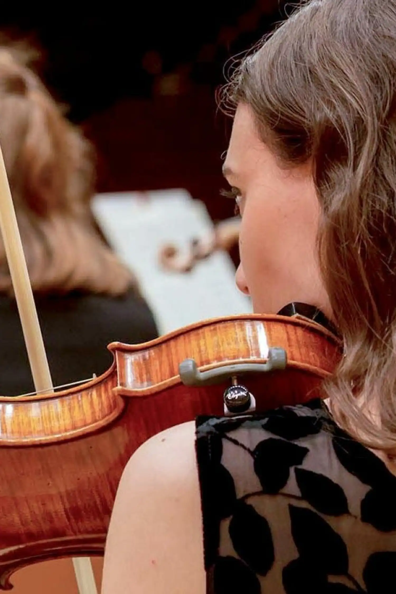 Timeless Sounds of Eggental - String Ensemble of the Haydn Orchestra