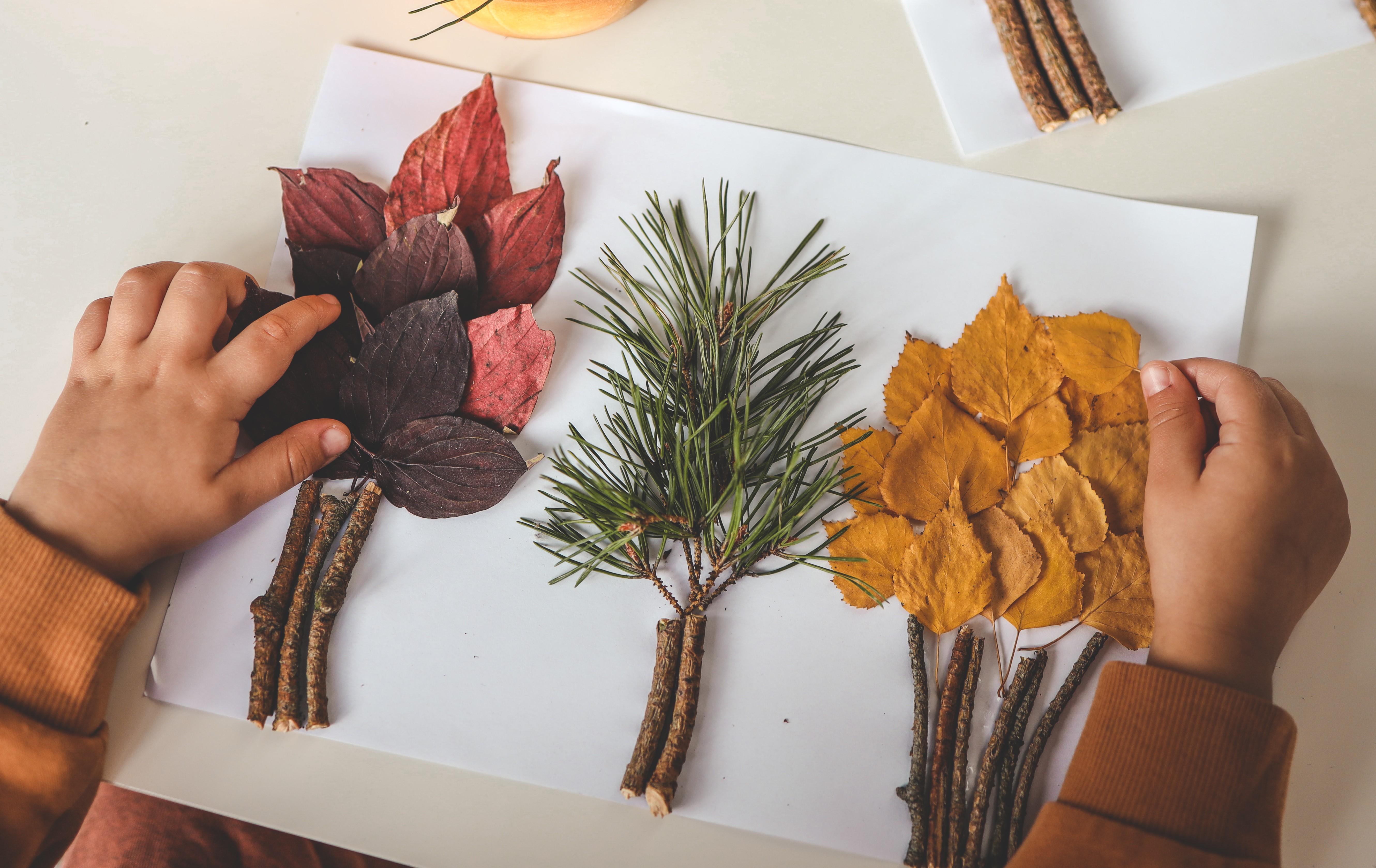 Autumn Pictures