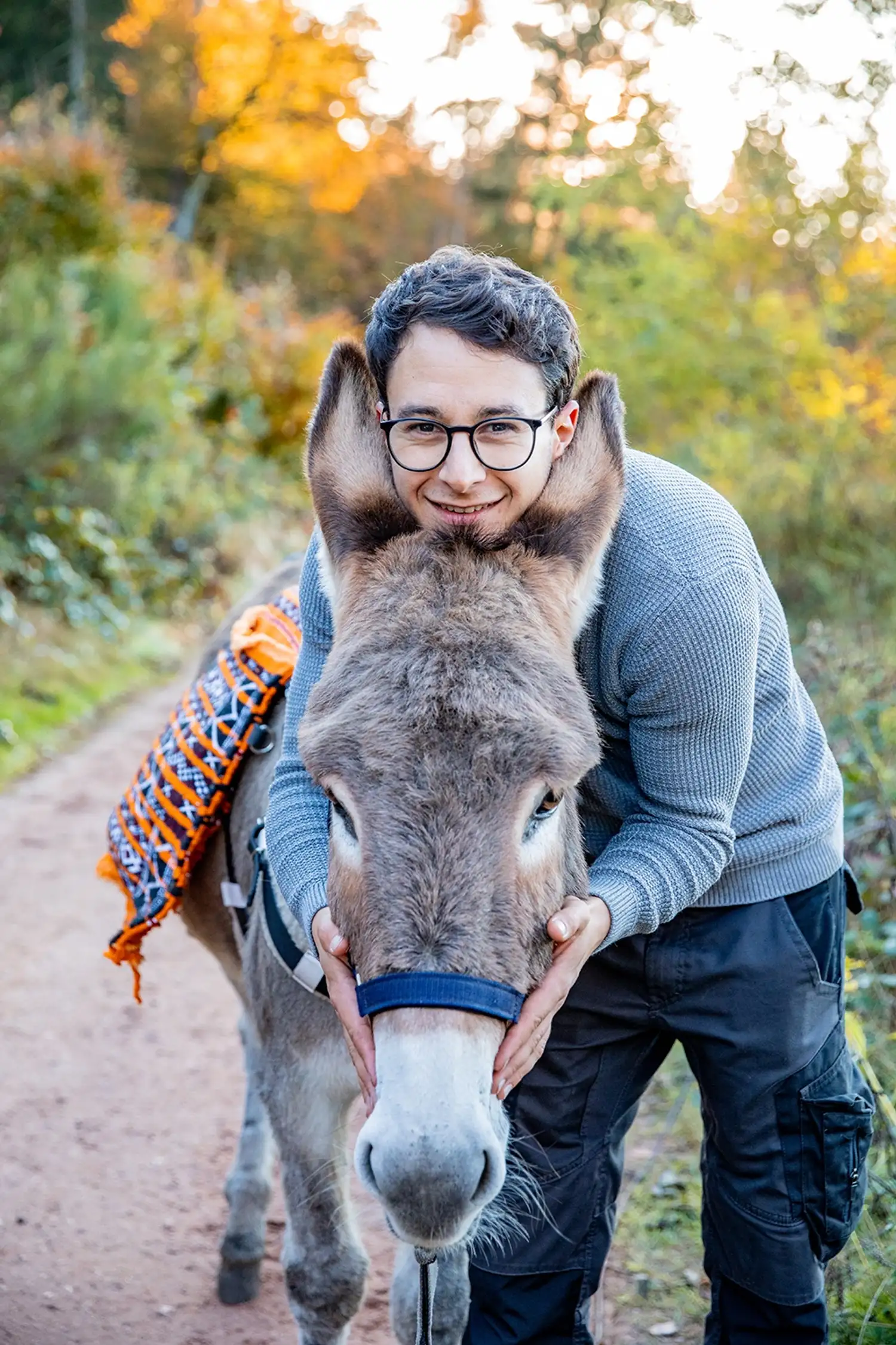 Donkey Cuddles for All Ages