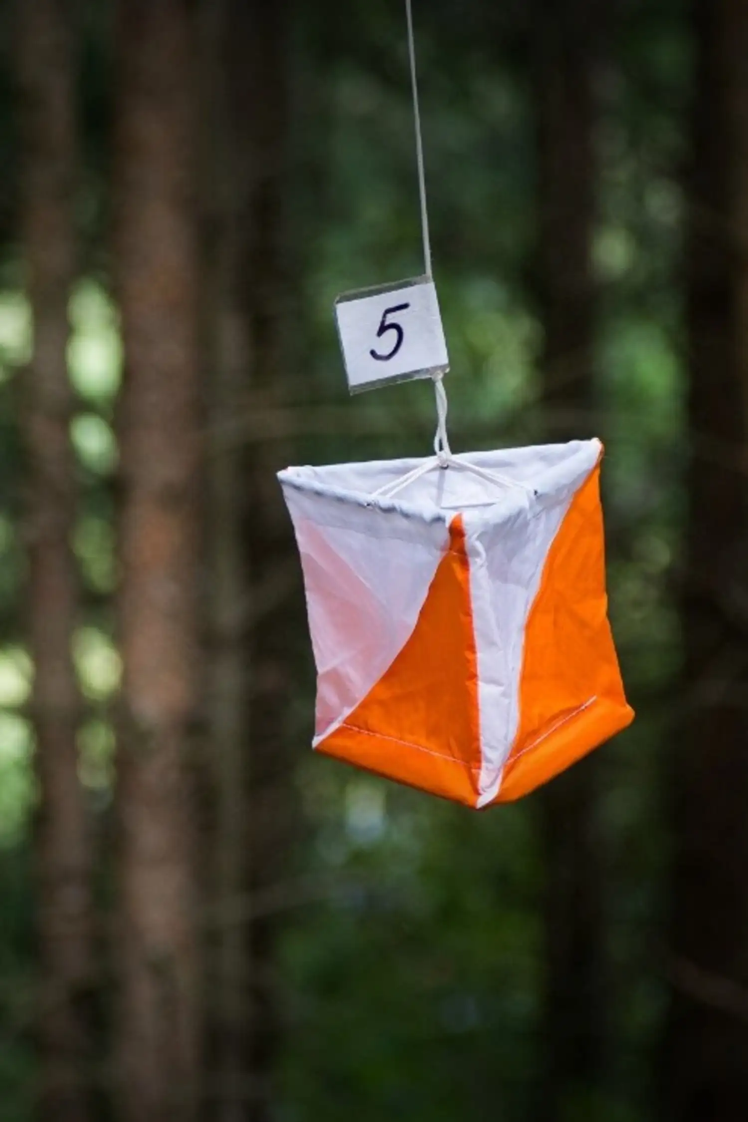 THURSDAY: An orienteering adventure