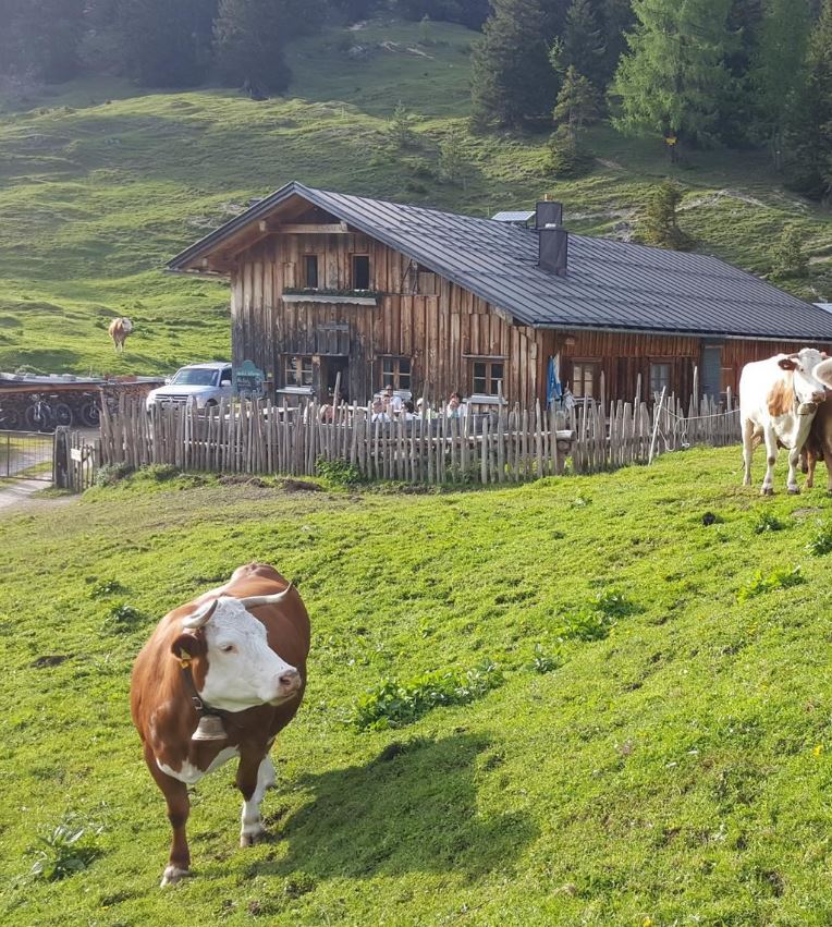 Hike from Giessenbach via Zäunlkopf to the Oberbrunnalm