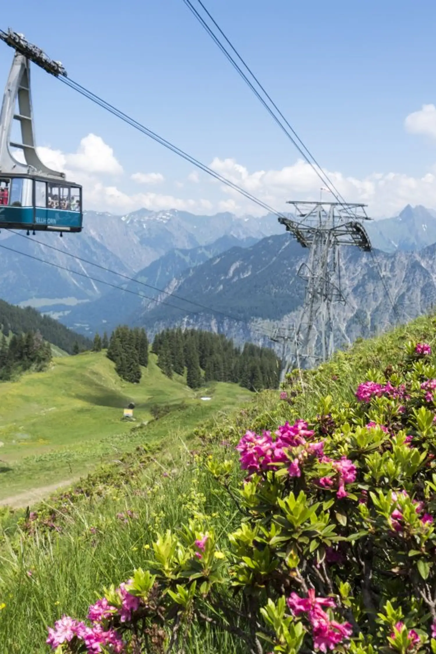 Alpenrosenfest am Fellhorn