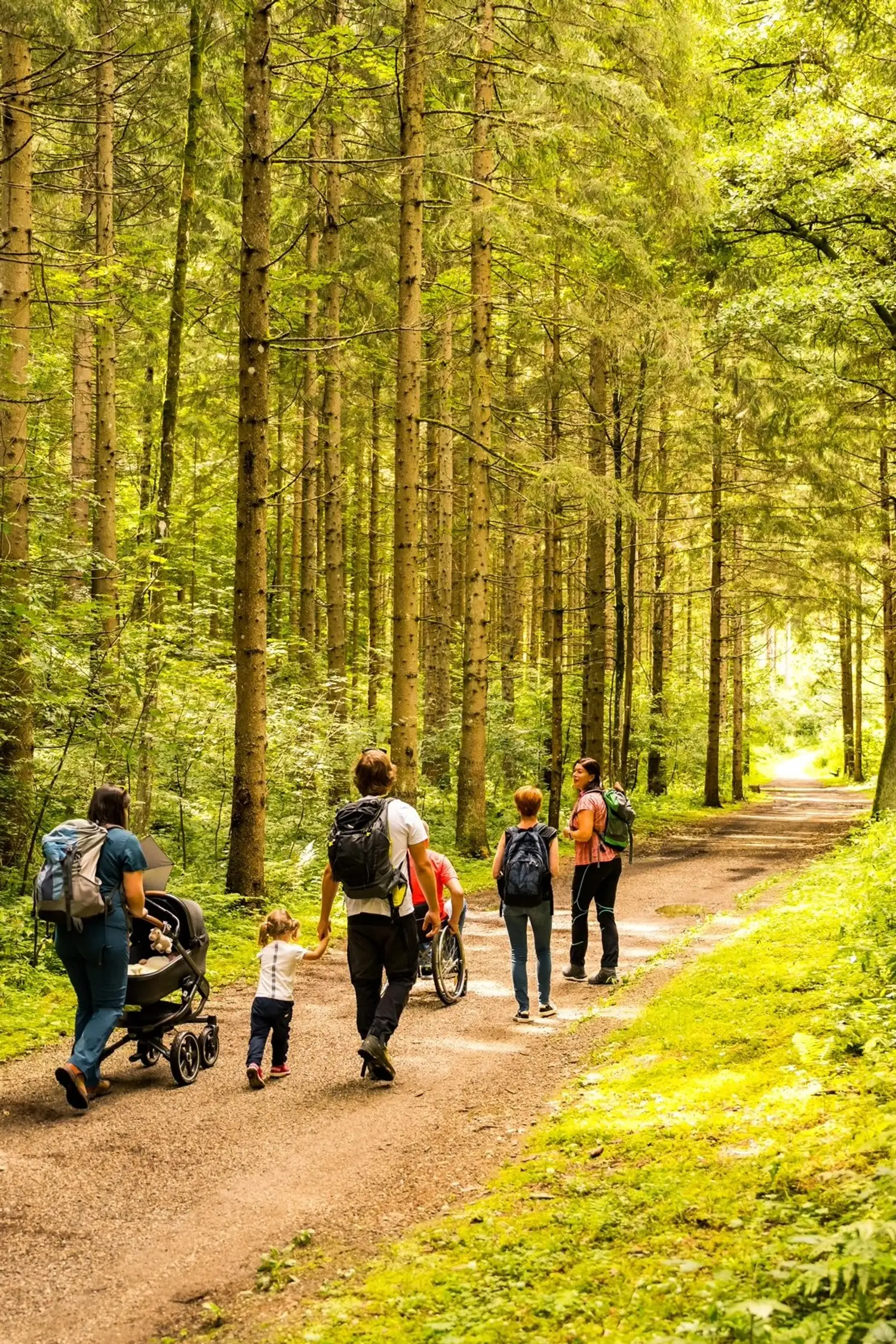 Barfuß durch den Drachenwald