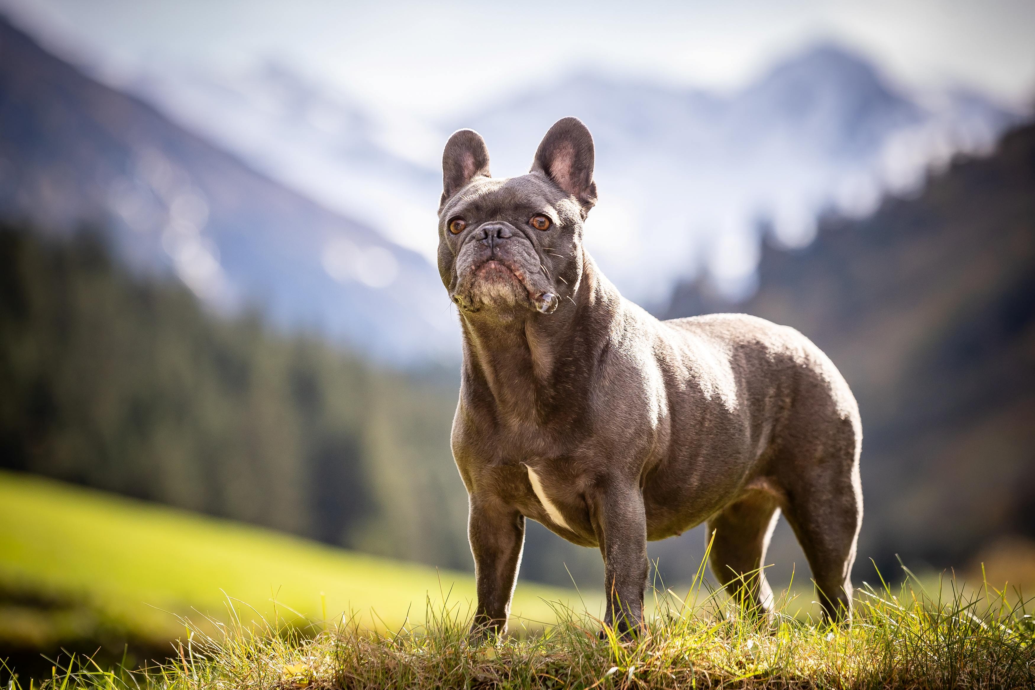 Mindful hike through nature