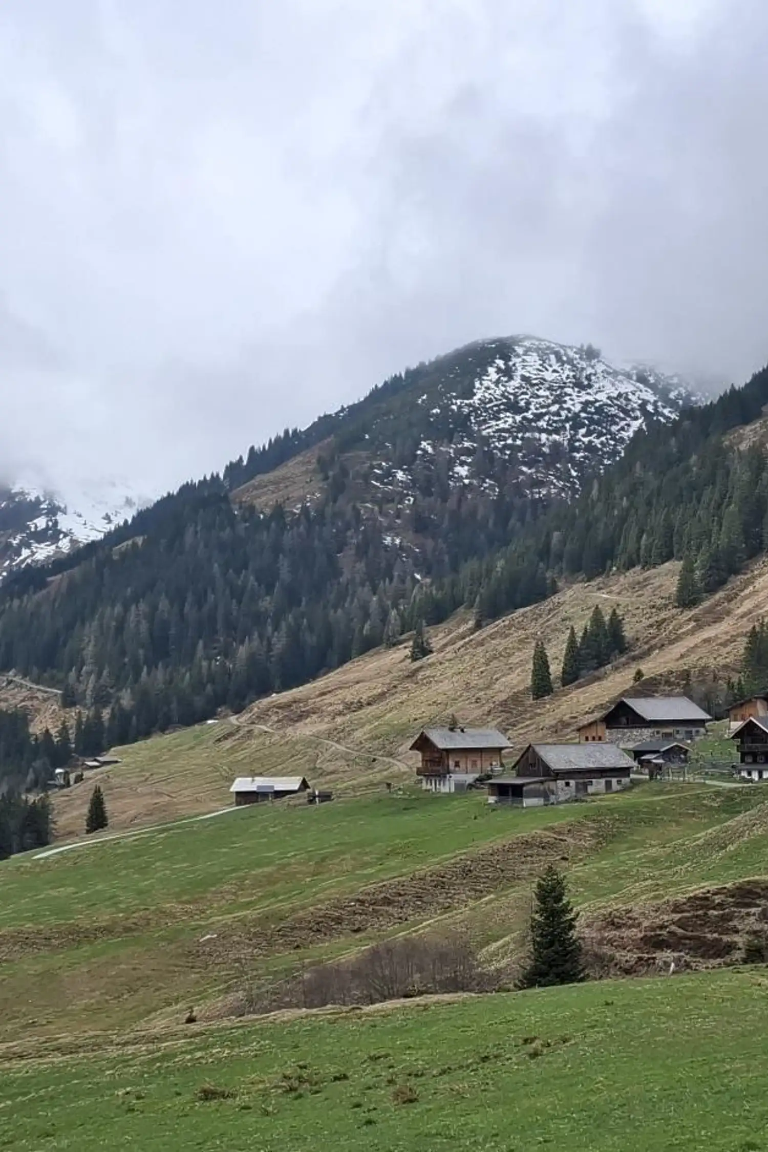 Geführte Wanderung zur Baumgartenalm