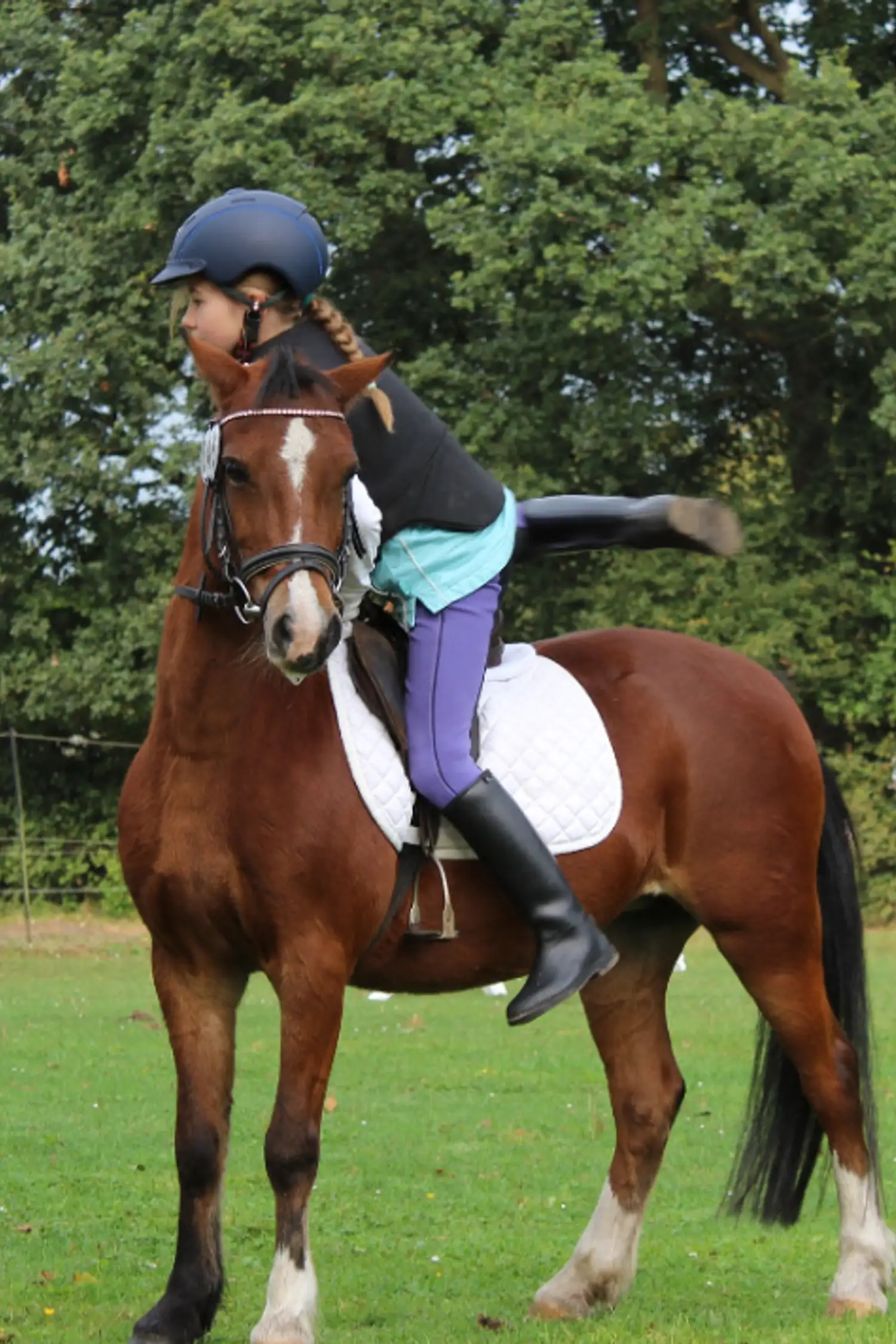 Pony Riding License