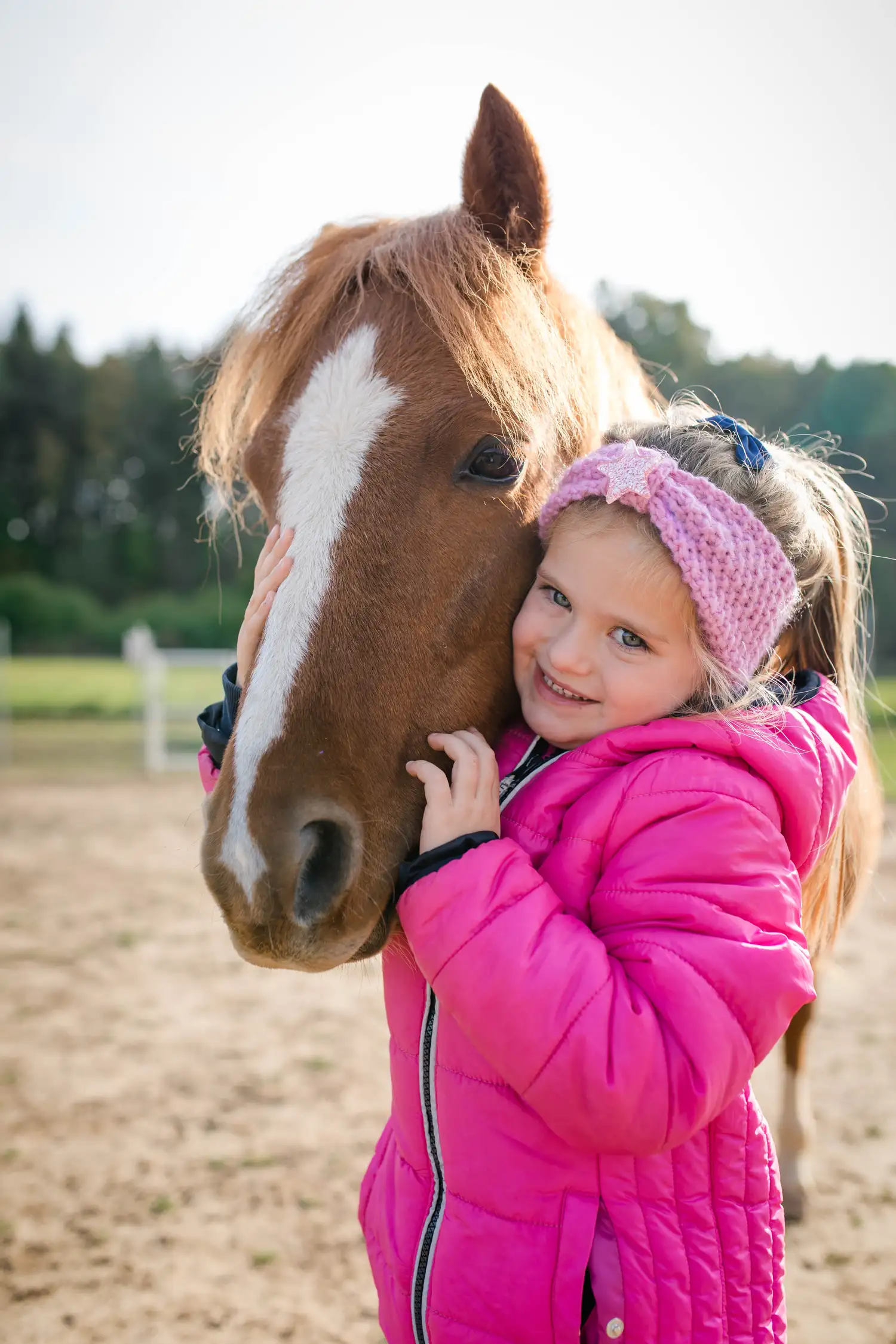 Malen bei den Ponys