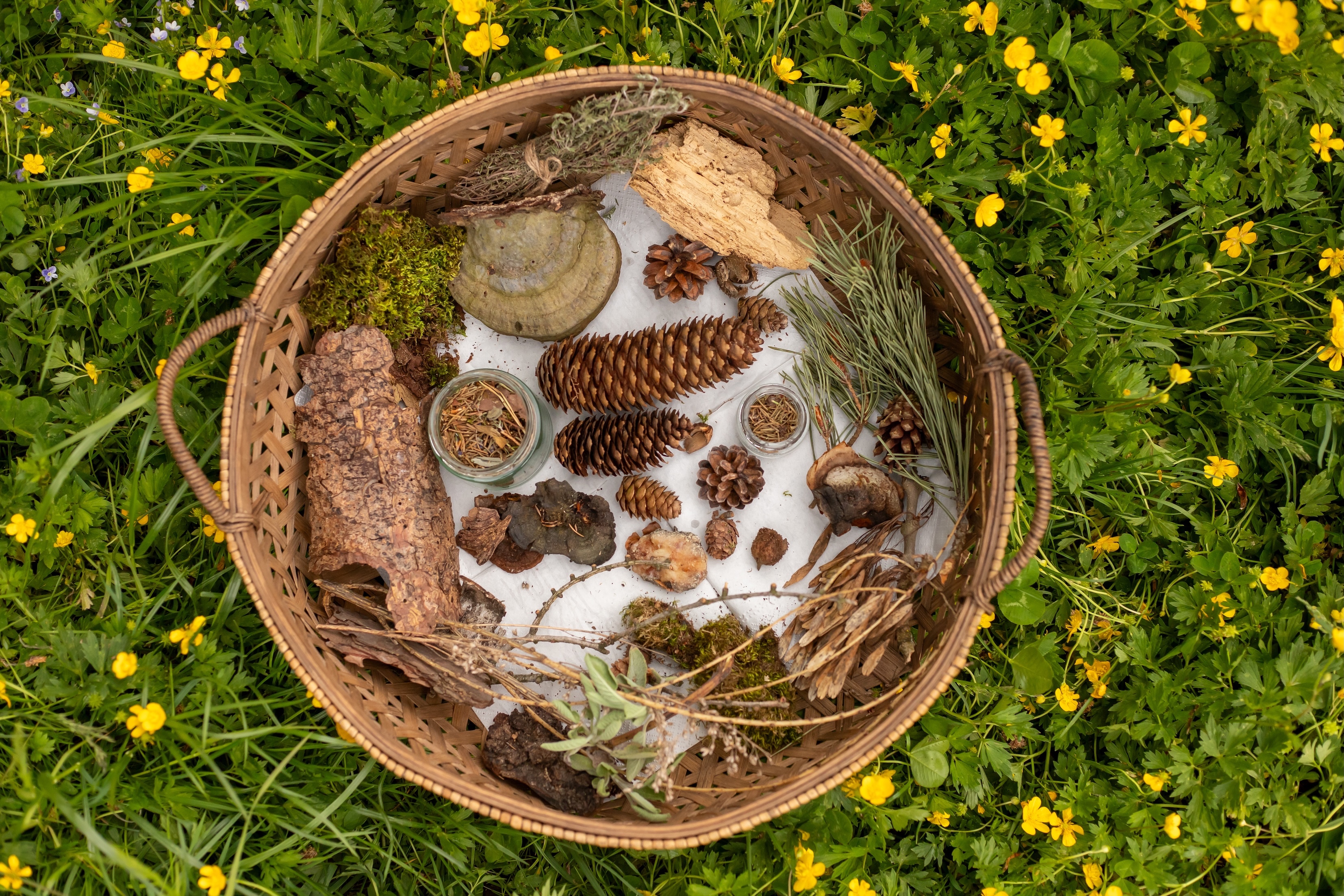 Achtsame Naturerfahrung