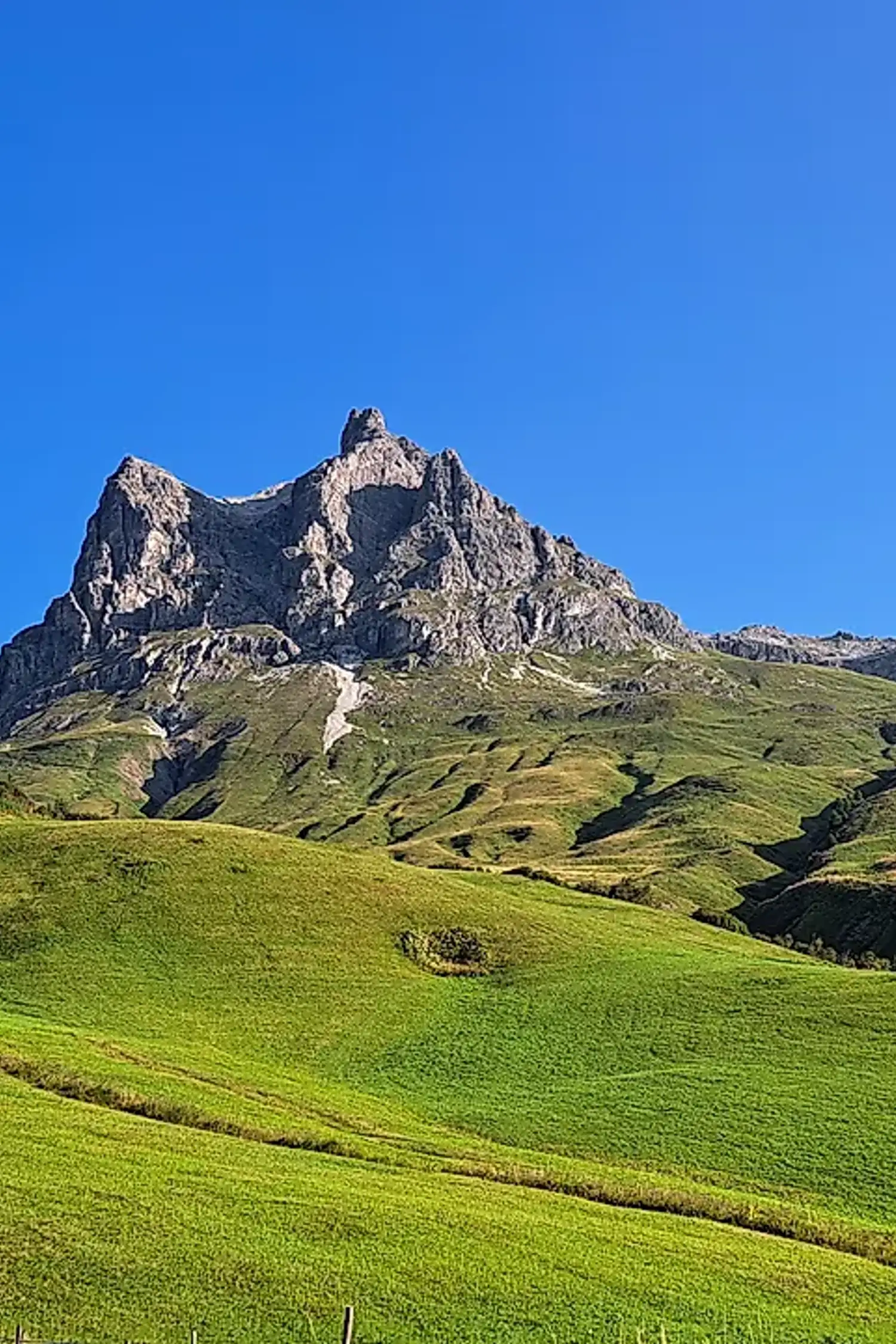 Geführte Bergtour Widderstein (2.533m)